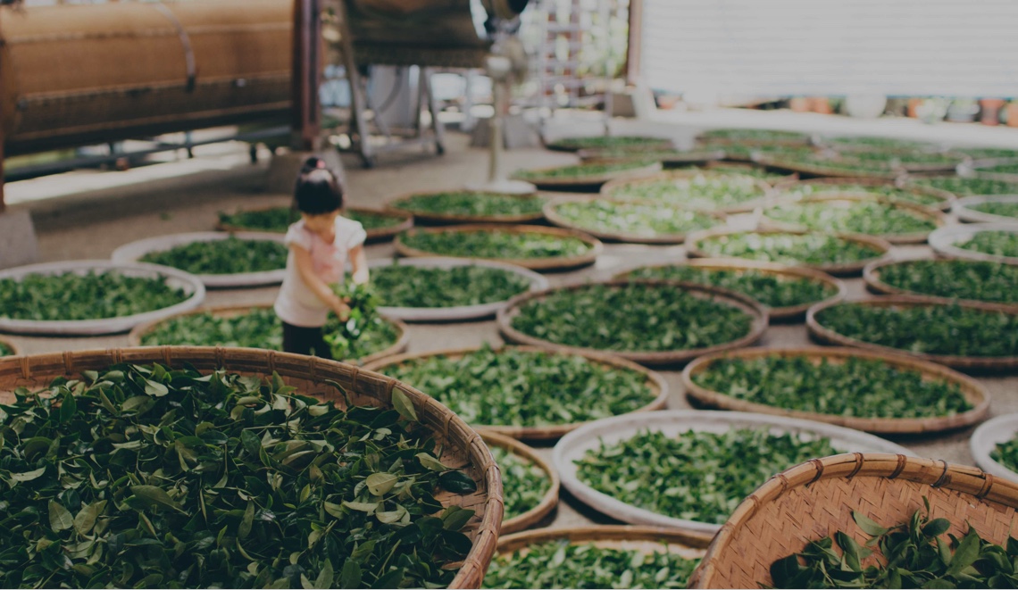 โครงการพัฒนาหมู่บ้านสารสนเทศต้นแบบเพื่อการพัฒนาคุณภาพชีวิต The Village Development Project For Development Quality Of Life.