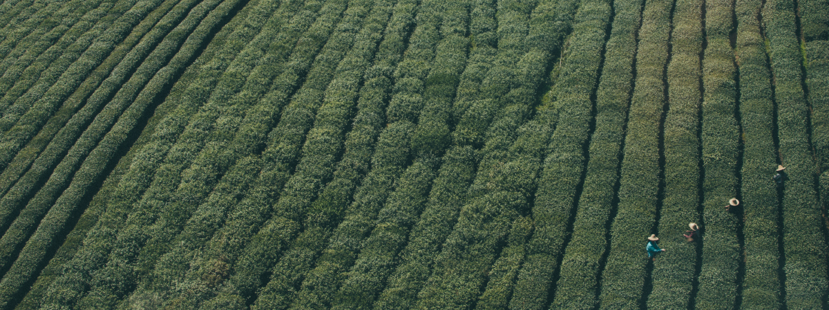 พช.อย. PARTY