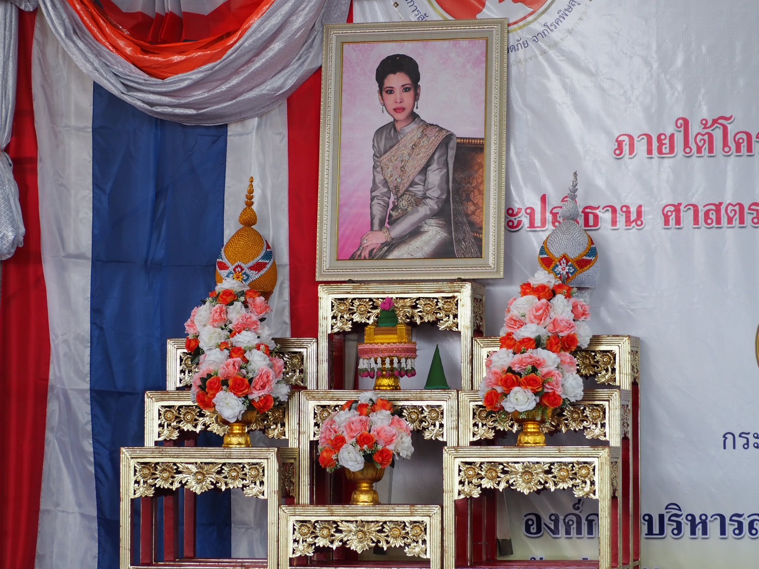 จังหวัดพระนครศรีอยุธยา จัดกิจกรรมสดุดีเทิดพระเกียรติ โครงการปศุสัตว์ร่วมใจ กำจัดภัยโรคพิษสุนัขบ้า เพื่อเฉลิมพระเกียรติศาสตราจารย์ ดร.สมเด็จเจ้าฟ้าฯ กรมพระศรีสวางควัฒน วรขัตติยราชนารี