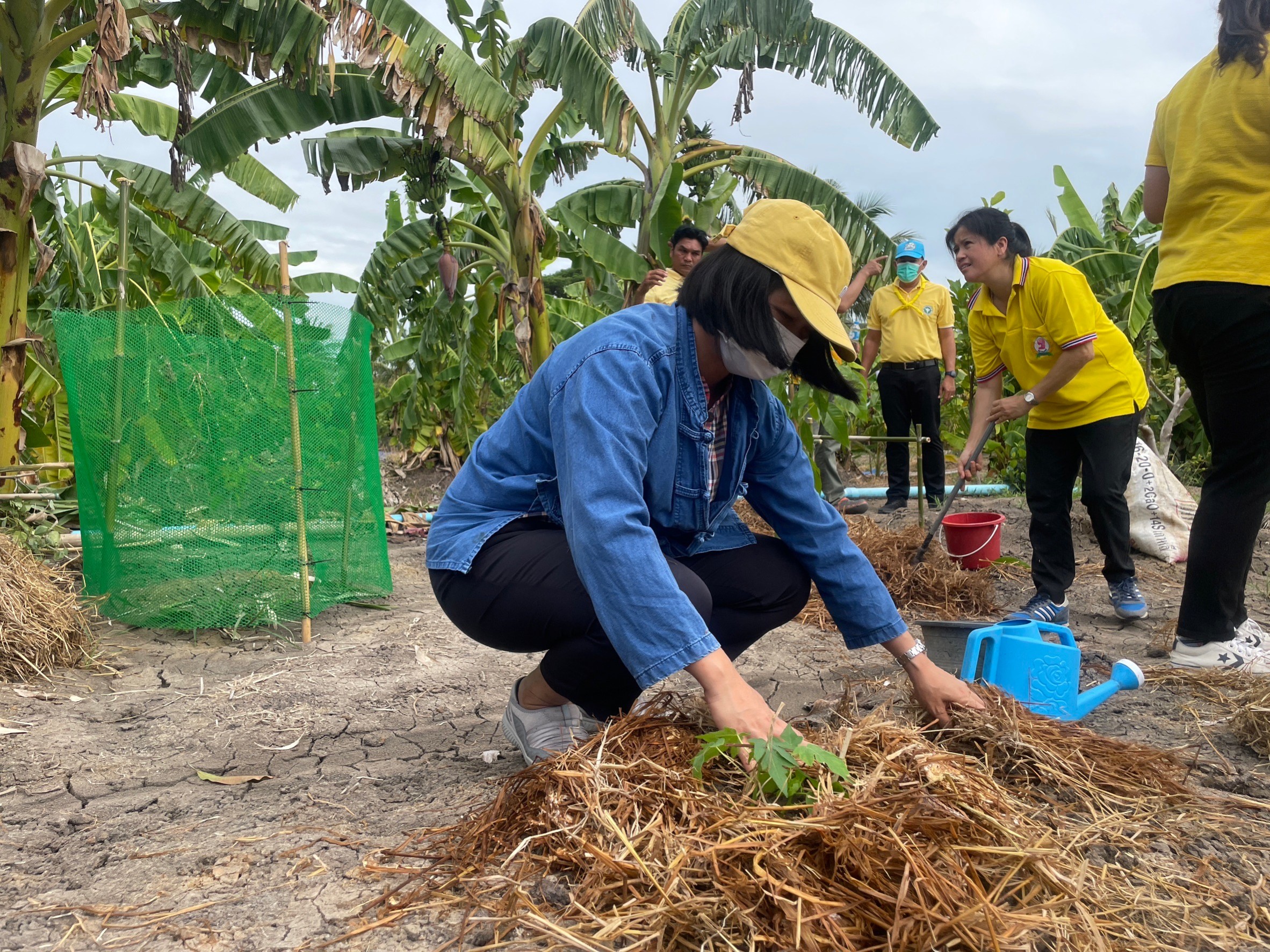 พช.อยุธยา จับมือเครือข่าย โคก หนอง นา ร่วมกิจกรรม”โคก หนอง นา พาทัวร์”