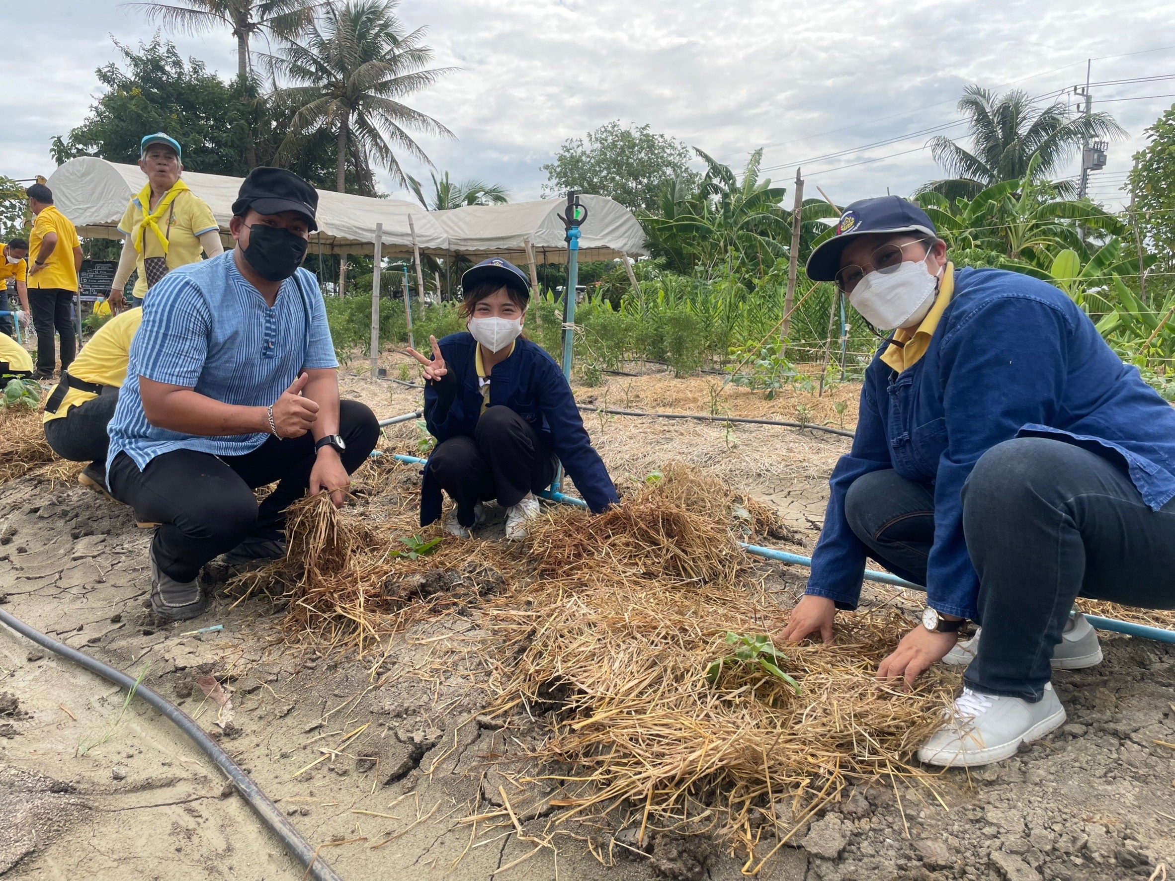 พช.อยุธยา จับมือเครือข่าย โคก หนอง นา ร่วมกิจกรรม”โคก หนอง นา พาทัวร์”