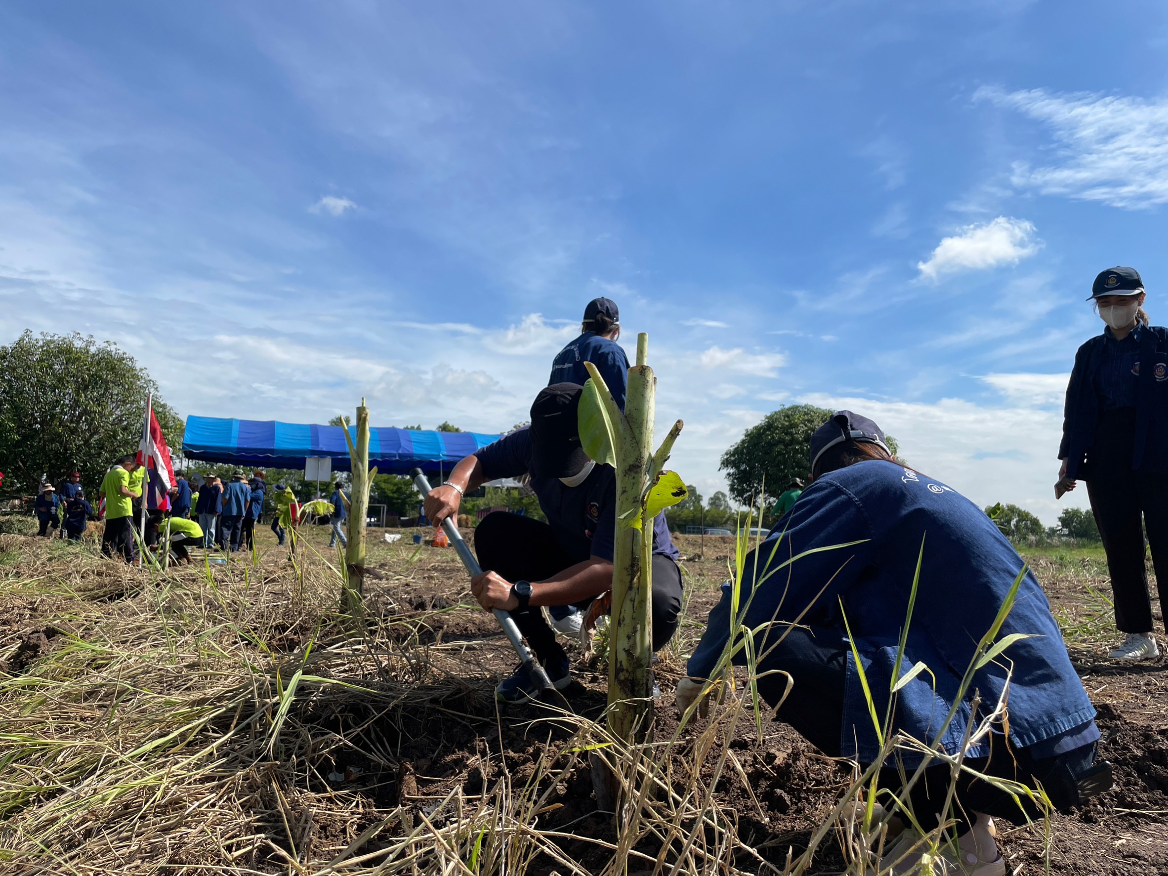 พช.อยุธยา จับมือเครือข่าย โคก หนอง นา ร่วมกิจกรรม”โคก หนอง นา พาทัวร์”