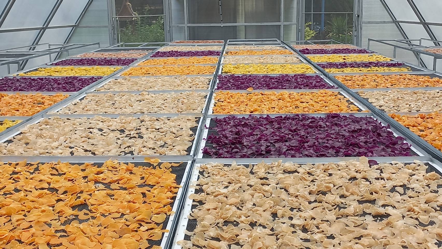 พช.พระนครศรีอยุธยา ประชุมขับเคลื่อนงานพัฒนาชุมชน ประชุมผู้อำนวยการกลุ่มงานฯ พัฒนาการอำเภอ และนักวิชาการพัฒนาชุมชนครั้งที่ 8/2566