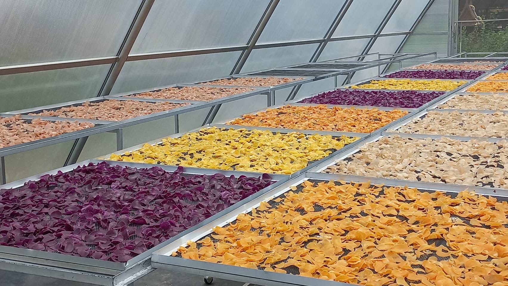 พช.พระนครศรีอยุธยา ประชุมขับเคลื่อนงานพัฒนาชุมชน ประชุมผู้อำนวยการกลุ่มงานฯ พัฒนาการอำเภอ และนักวิชาการพัฒนาชุมชนครั้งที่ 8/2566