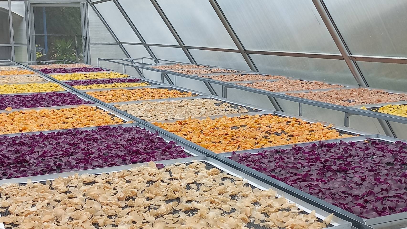 พช.พระนครศรีอยุธยา ประชุมขับเคลื่อนงานพัฒนาชุมชน ประชุมผู้อำนวยการกลุ่มงานฯ พัฒนาการอำเภอ และนักวิชาการพัฒนาชุมชนครั้งที่ 8/2566