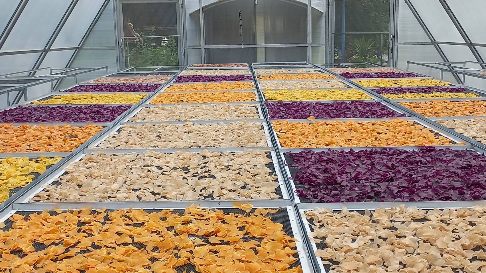 พช.พระนครศรีอยุธยา ประชุมขับเคลื่อนงานพัฒนาชุมชน ประชุมผู้อำนวยการกลุ่มงานฯ พัฒนาการอำเภอ และนักวิชาการพัฒนาชุมชนครั้งที่ 8/2566