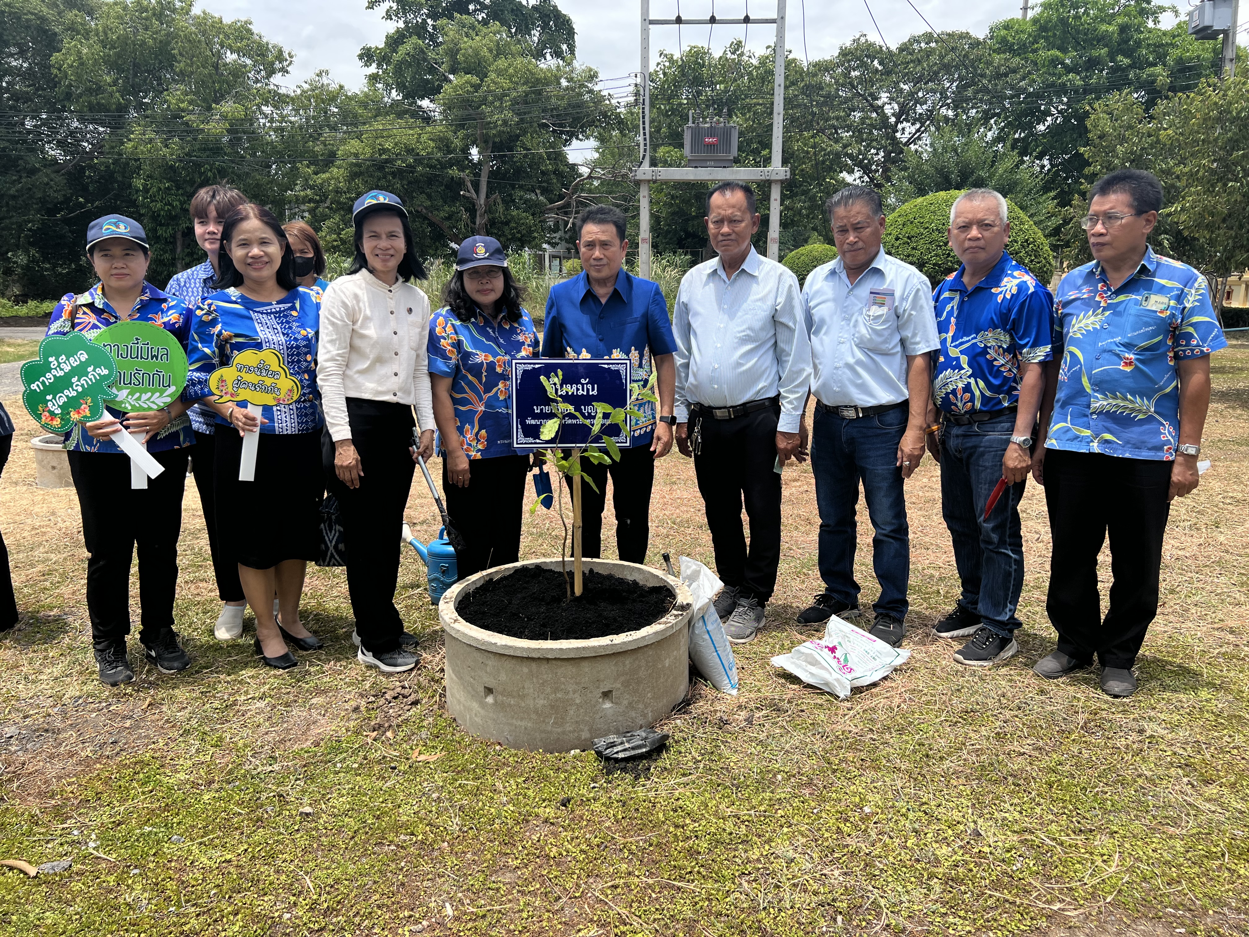 พช.อยุธยา ส่งเสริมและอนุรักษ์การปลูกต้นไม้ประจำจังหวัด (ต้นหมัน) และปลูกผักสวนครัวเพื่อสร้างความมั่นคงทางอาหาร