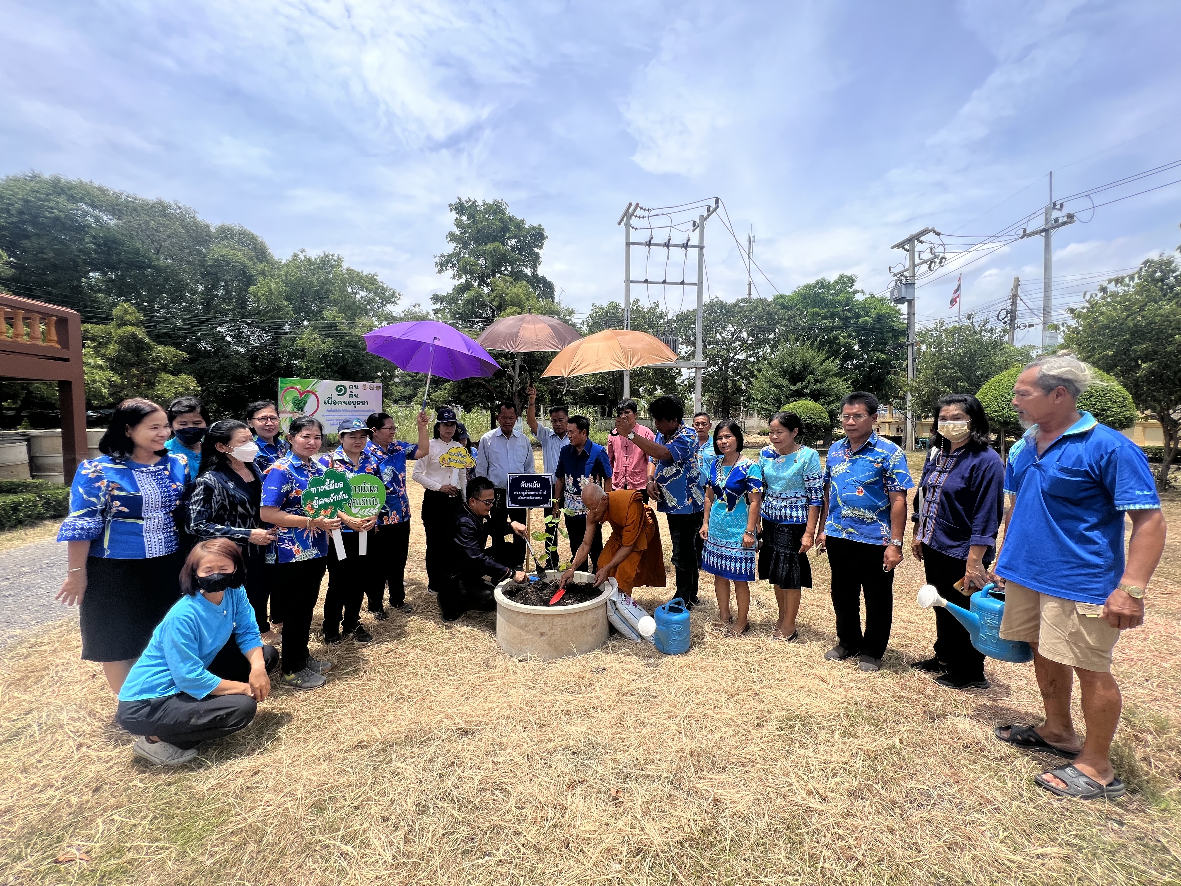 พช.อยุธยา ส่งเสริมและอนุรักษ์การปลูกต้นไม้ประจำจังหวัด (ต้นหมัน) และปลูกผักสวนครัวเพื่อสร้างความมั่นคงทางอาหาร