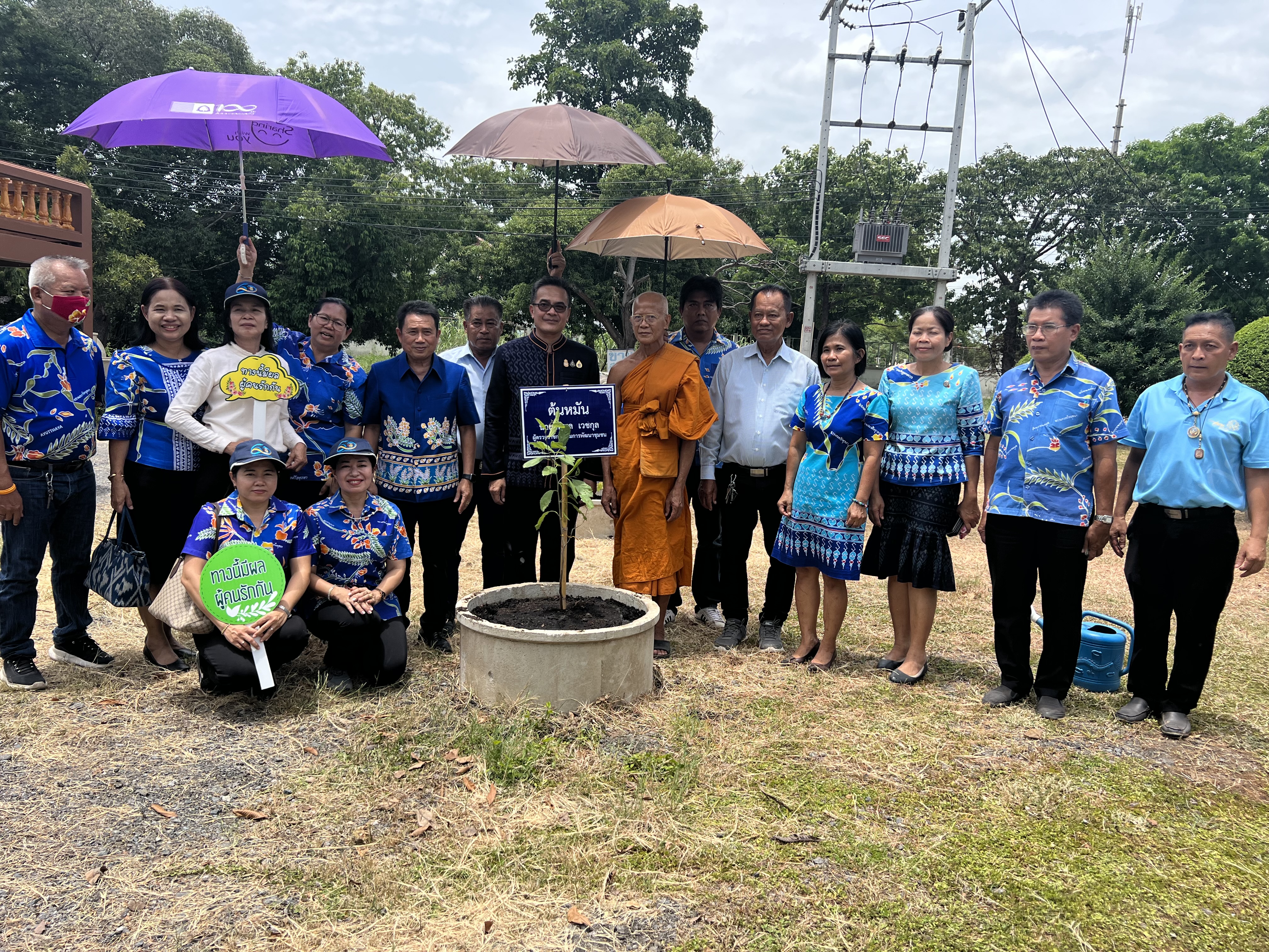 พช.อยุธยา ส่งเสริมและอนุรักษ์การปลูกต้นไม้ประจำจังหวัด (ต้นหมัน) และปลูกผักสวนครัวเพื่อสร้างความมั่นคงทางอาหาร