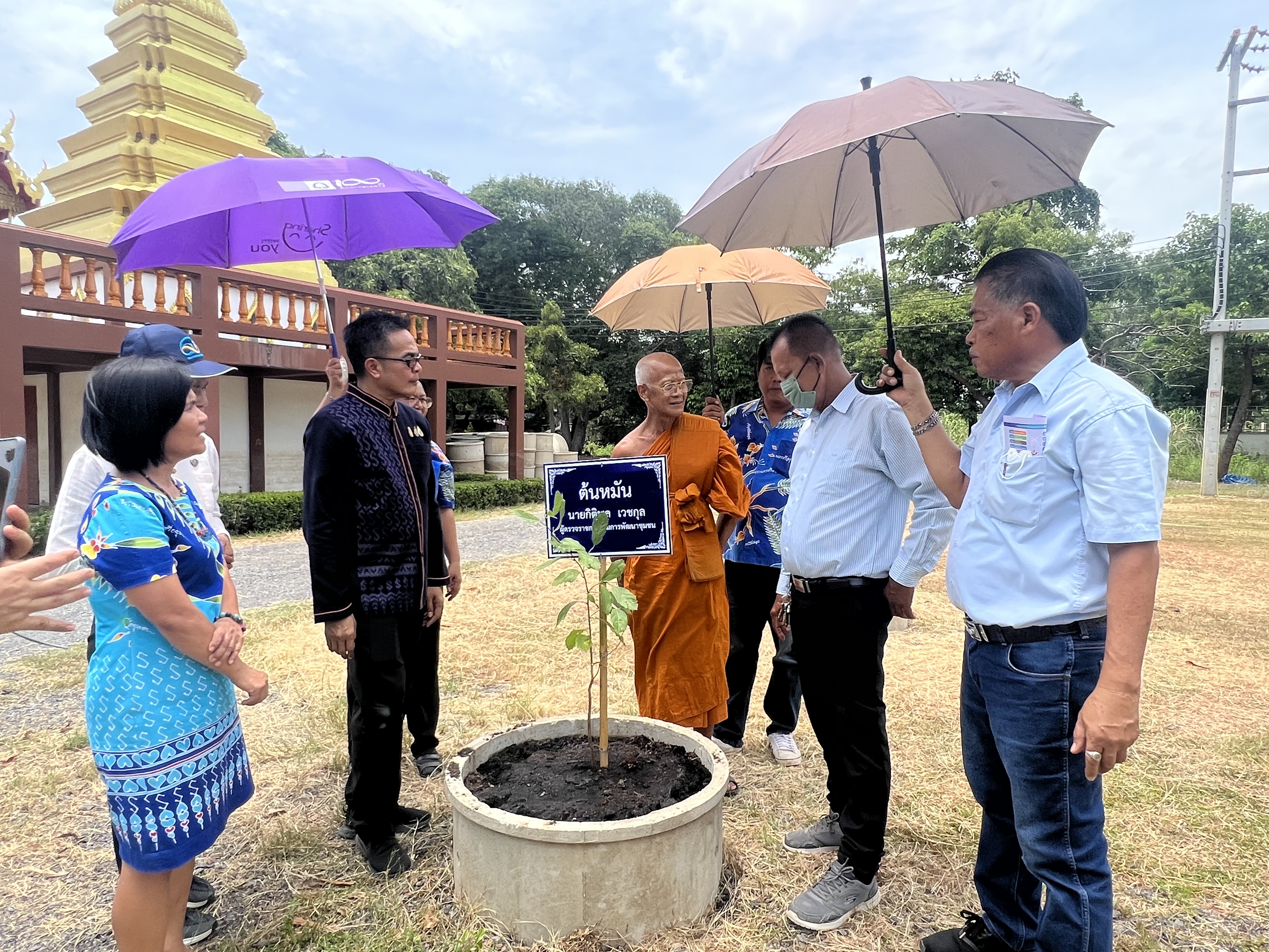 พช.อยุธยา ส่งเสริมและอนุรักษ์การปลูกต้นไม้ประจำจังหวัด (ต้นหมัน) และปลูกผักสวนครัวเพื่อสร้างความมั่นคงทางอาหาร