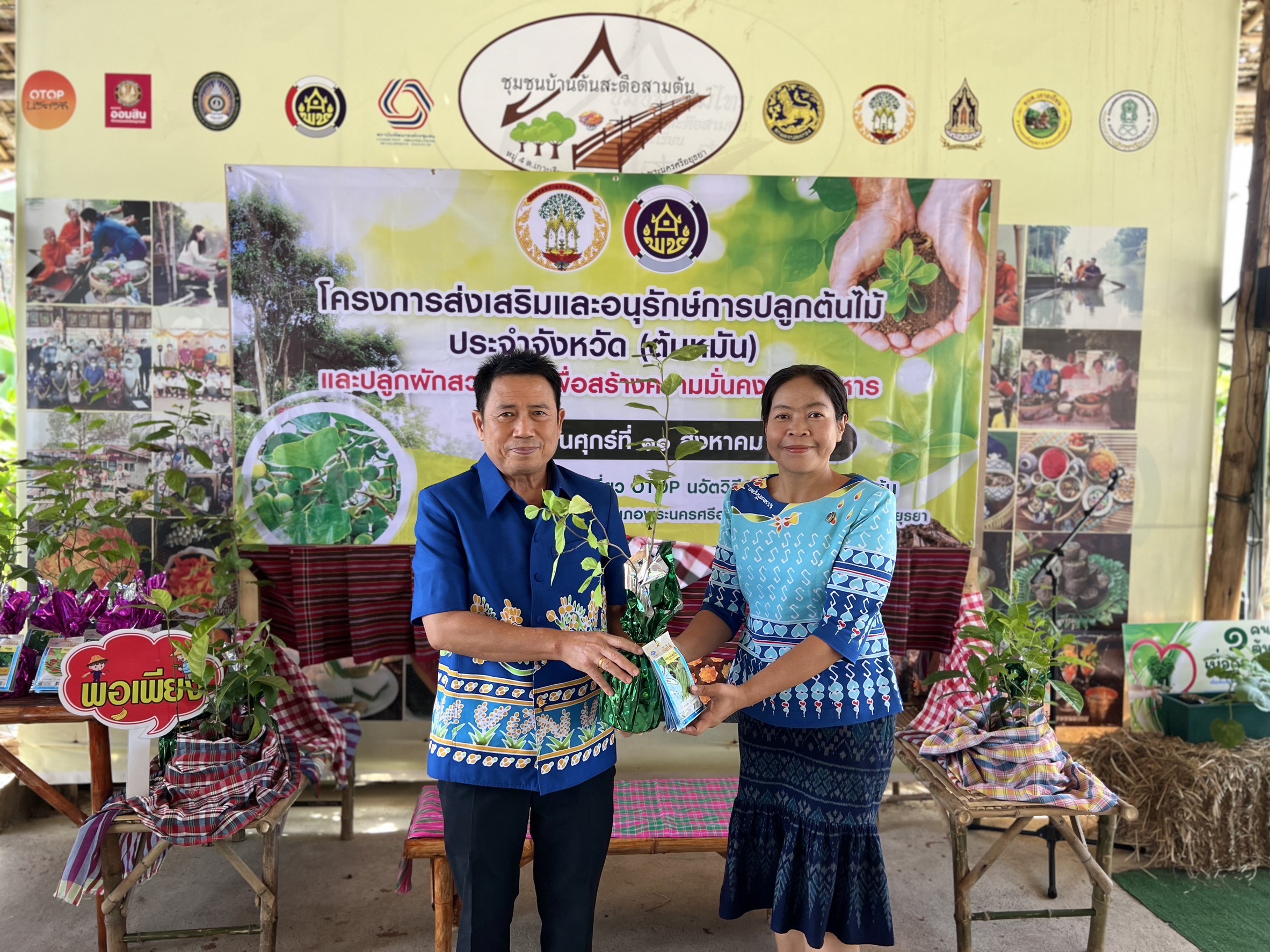 พช.อยุธยา ส่งเสริมและอนุรักษ์การปลูกต้นไม้ประจำจังหวัด (ต้นหมัน) และปลูกผักสวนครัวเพื่อสร้างความมั่นคงทางอาหาร