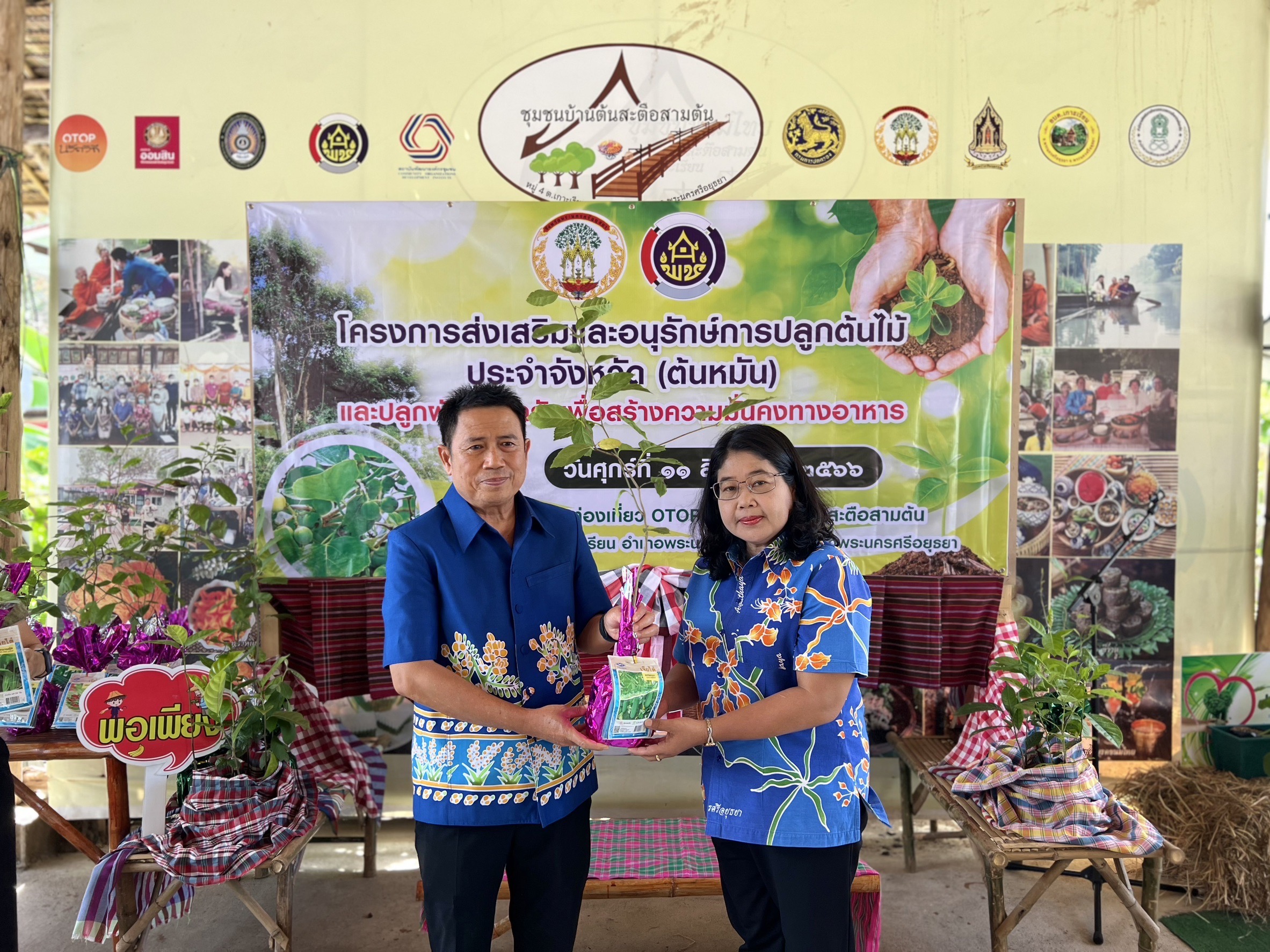 พช.อยุธยา ส่งเสริมและอนุรักษ์การปลูกต้นไม้ประจำจังหวัด (ต้นหมัน) และปลูกผักสวนครัวเพื่อสร้างความมั่นคงทางอาหาร