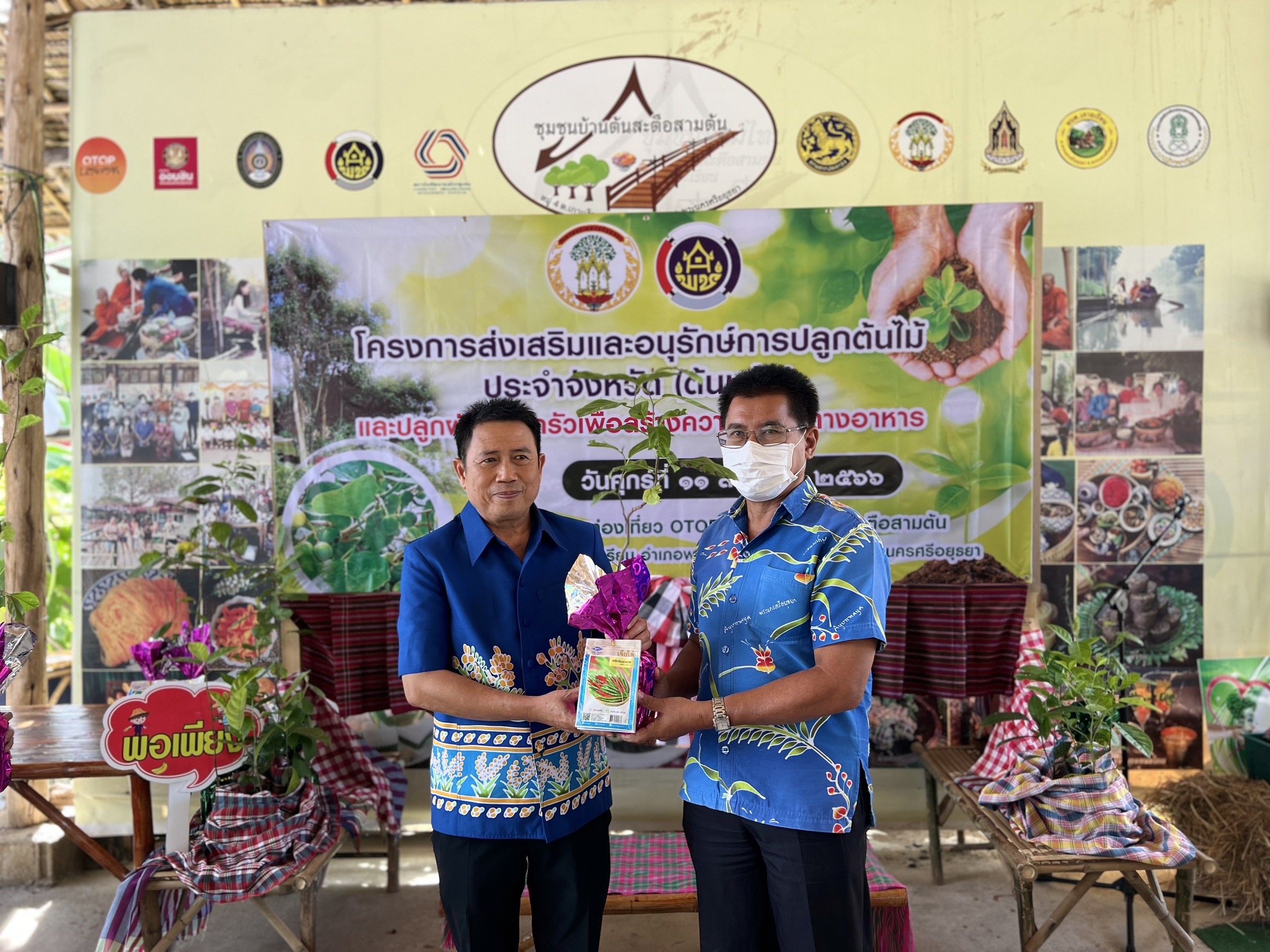 พช.อยุธยา ส่งเสริมและอนุรักษ์การปลูกต้นไม้ประจำจังหวัด (ต้นหมัน) และปลูกผักสวนครัวเพื่อสร้างความมั่นคงทางอาหาร