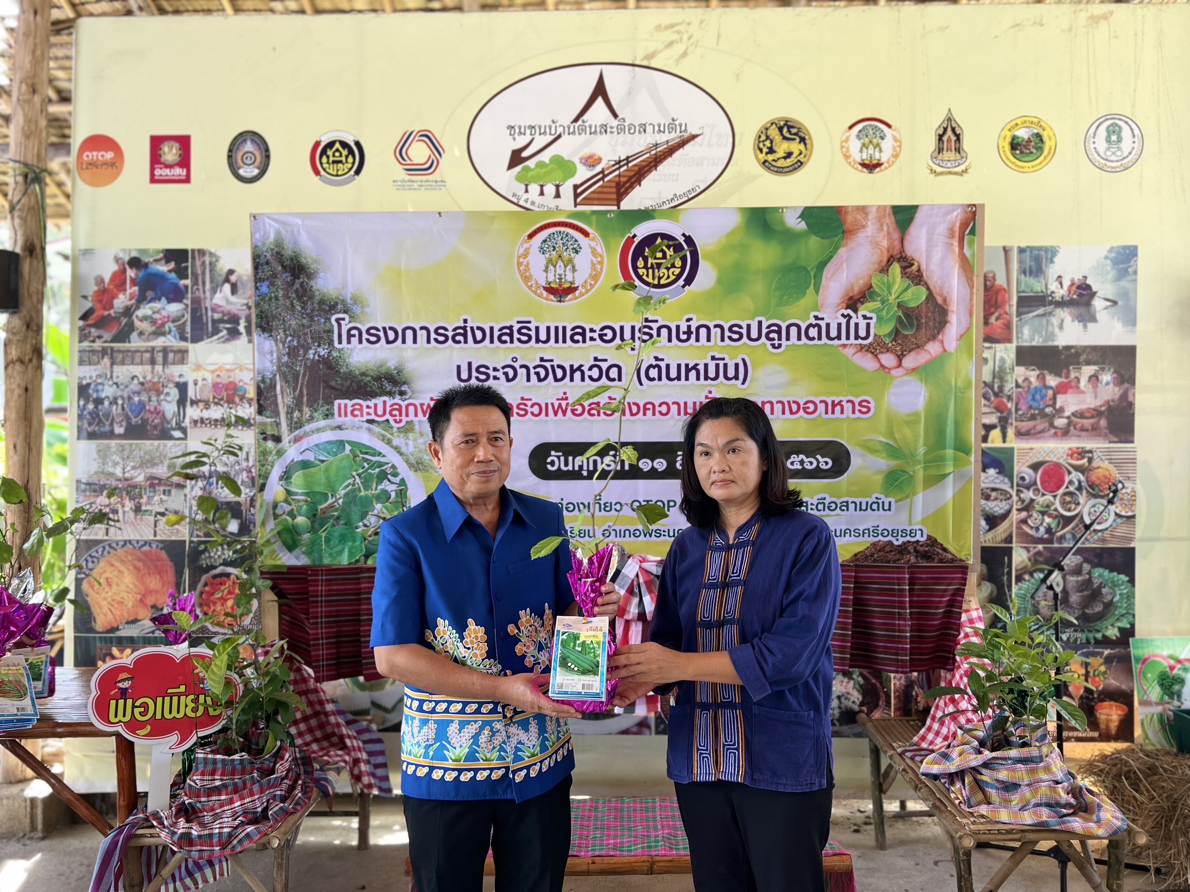 พช.อยุธยา ส่งเสริมและอนุรักษ์การปลูกต้นไม้ประจำจังหวัด (ต้นหมัน) และปลูกผักสวนครัวเพื่อสร้างความมั่นคงทางอาหาร