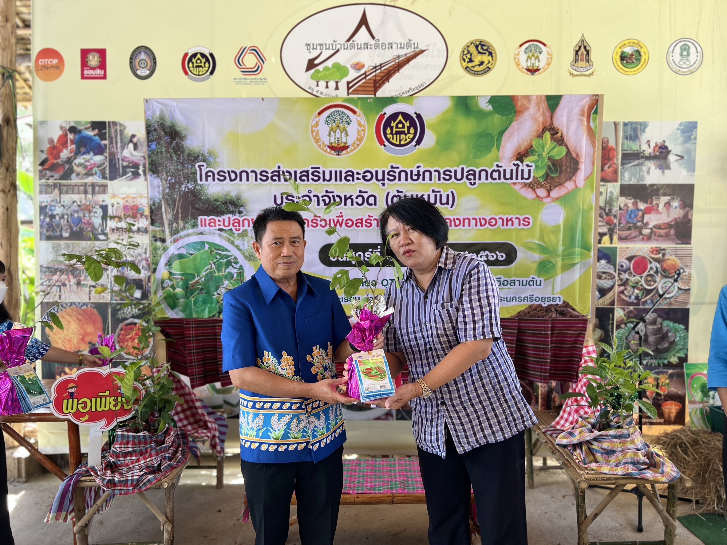 พช.อยุธยา ส่งเสริมและอนุรักษ์การปลูกต้นไม้ประจำจังหวัด (ต้นหมัน) และปลูกผักสวนครัวเพื่อสร้างความมั่นคงทางอาหาร