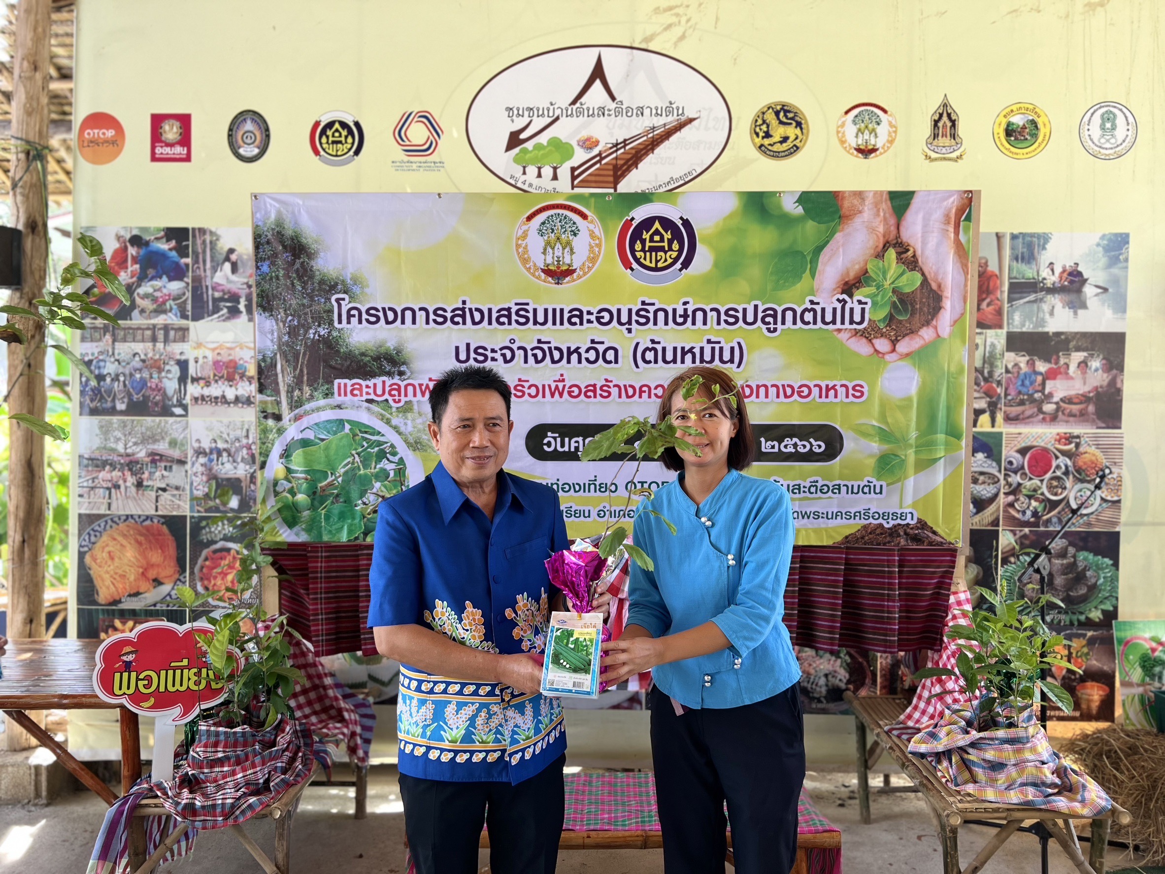 พช.อยุธยา ส่งเสริมและอนุรักษ์การปลูกต้นไม้ประจำจังหวัด (ต้นหมัน) และปลูกผักสวนครัวเพื่อสร้างความมั่นคงทางอาหาร