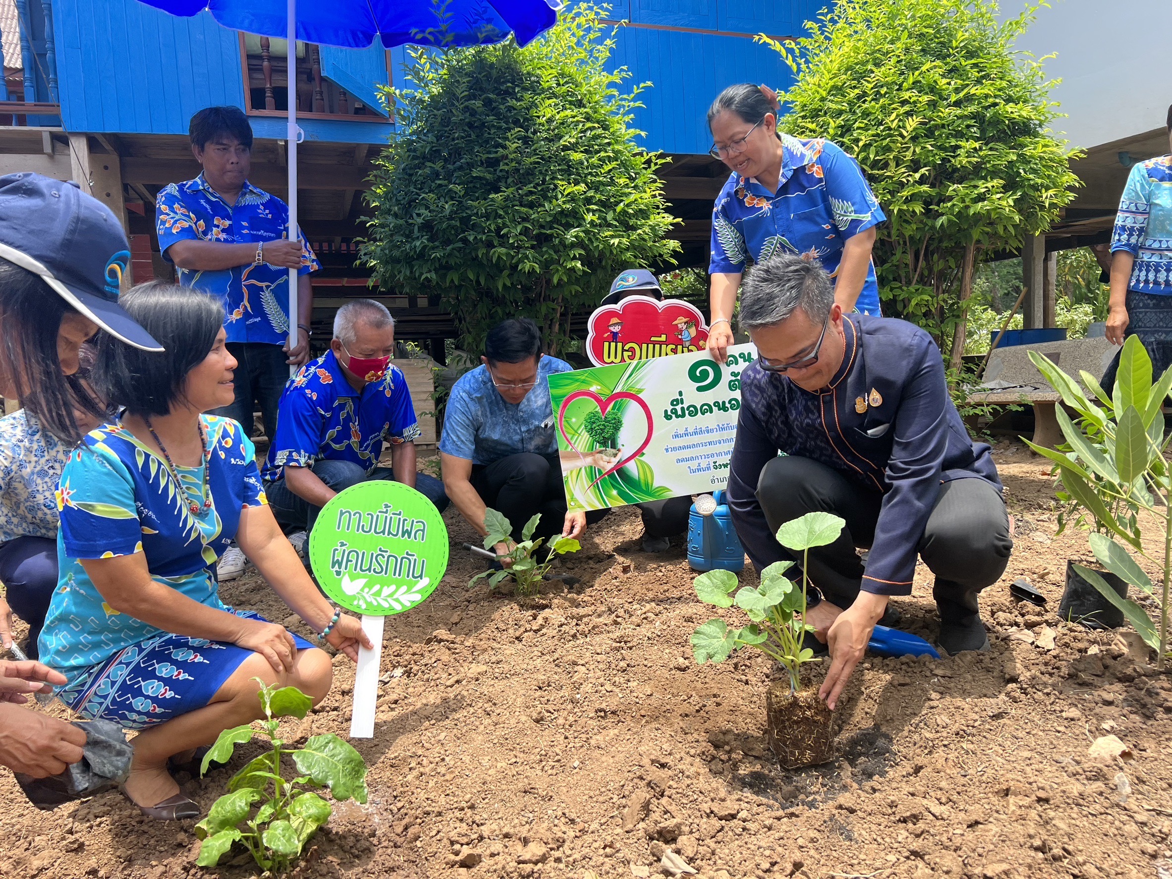 พช.อยุธยา ส่งเสริมและอนุรักษ์การปลูกต้นไม้ประจำจังหวัด (ต้นหมัน) และปลูกผักสวนครัวเพื่อสร้างความมั่นคงทางอาหาร