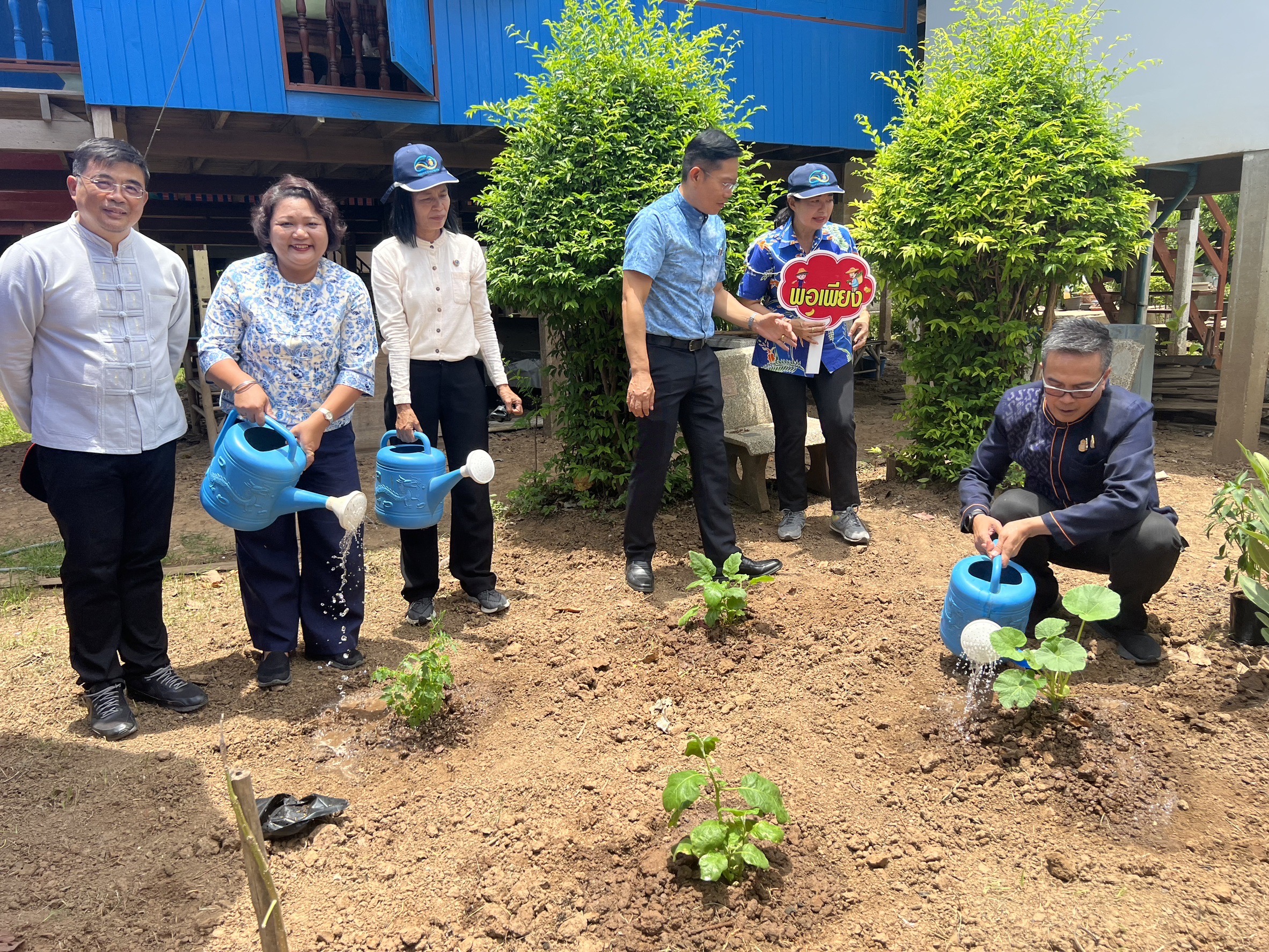 พช.อยุธยา ส่งเสริมและอนุรักษ์การปลูกต้นไม้ประจำจังหวัด (ต้นหมัน) และปลูกผักสวนครัวเพื่อสร้างความมั่นคงทางอาหาร