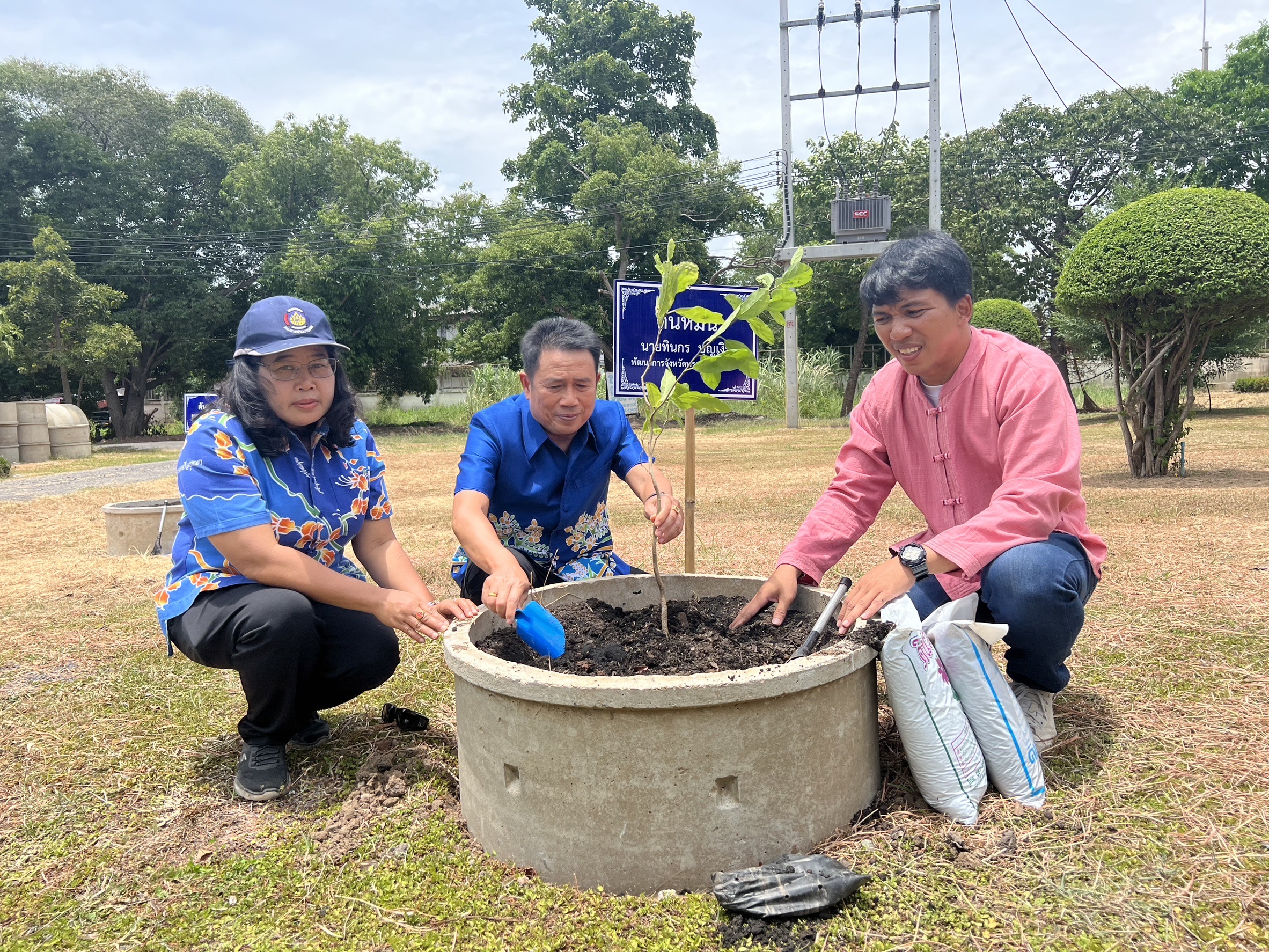 พช.อยุธยา ส่งเสริมและอนุรักษ์การปลูกต้นไม้ประจำจังหวัด (ต้นหมัน) และปลูกผักสวนครัวเพื่อสร้างความมั่นคงทางอาหาร