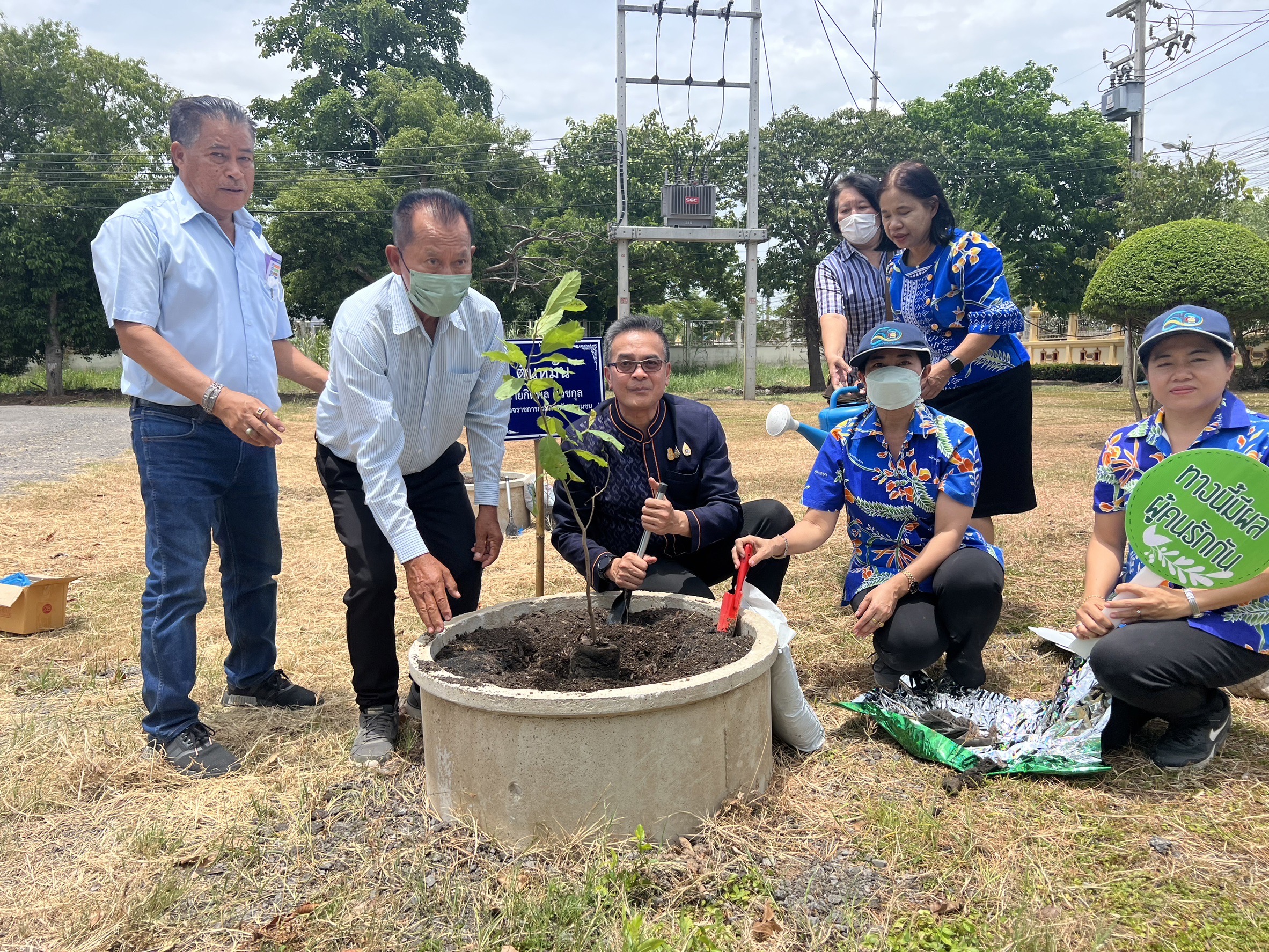 พช.อยุธยา ส่งเสริมและอนุรักษ์การปลูกต้นไม้ประจำจังหวัด (ต้นหมัน) และปลูกผักสวนครัวเพื่อสร้างความมั่นคงทางอาหาร