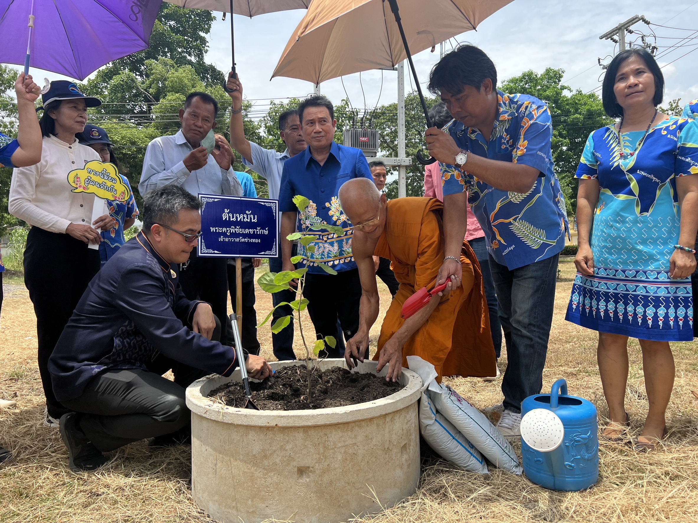 พช.อยุธยา ส่งเสริมและอนุรักษ์การปลูกต้นไม้ประจำจังหวัด (ต้นหมัน) และปลูกผักสวนครัวเพื่อสร้างความมั่นคงทางอาหาร