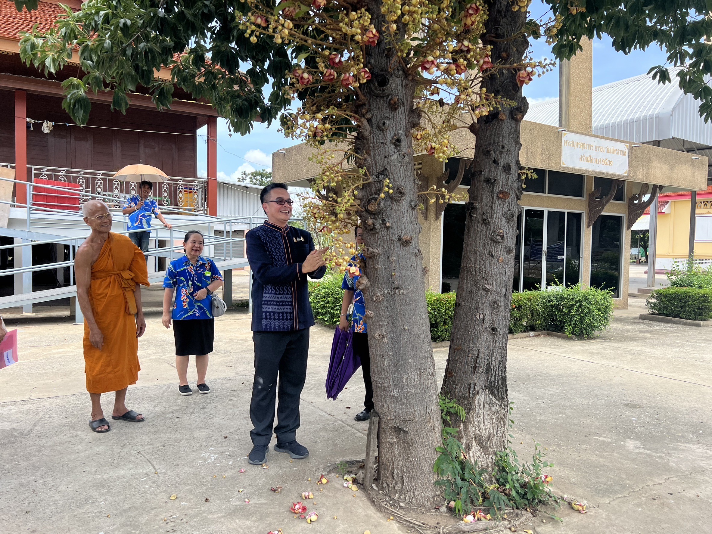 พช.อยุธยา ส่งเสริมและอนุรักษ์การปลูกต้นไม้ประจำจังหวัด (ต้นหมัน) และปลูกผักสวนครัวเพื่อสร้างความมั่นคงทางอาหาร