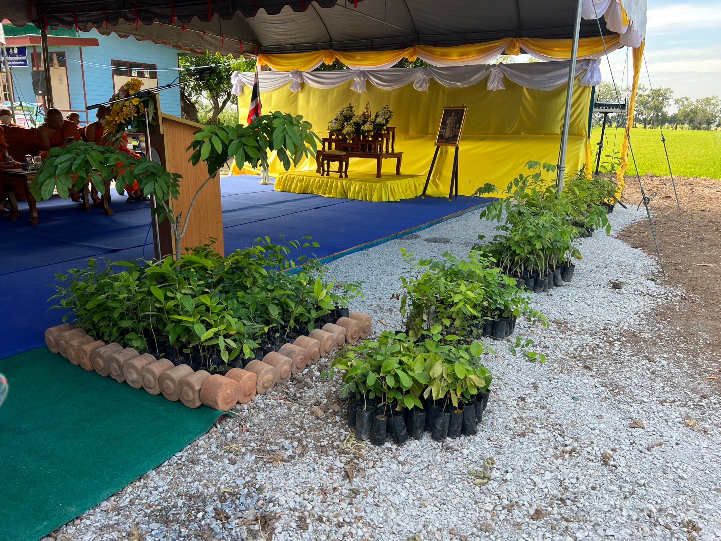 จังหวัดพระนครศรีอยุธยา จับมืออำเภอผักไห่ และ 7 ภาคีเครือข่าย ร่วมปลูกต้นไม้ตามโครงการ “1 คน 1 ต้น เพื่อคนอยุธยา” เร่งเพิ่มพื้นที่สีเขียว ลดคาร์บอน เพื่อช่วยลดโลกร้อน พร้อมขับเคลื่อนบทบาทการเกื้อหนุนระหว่างวัดและชุมชน