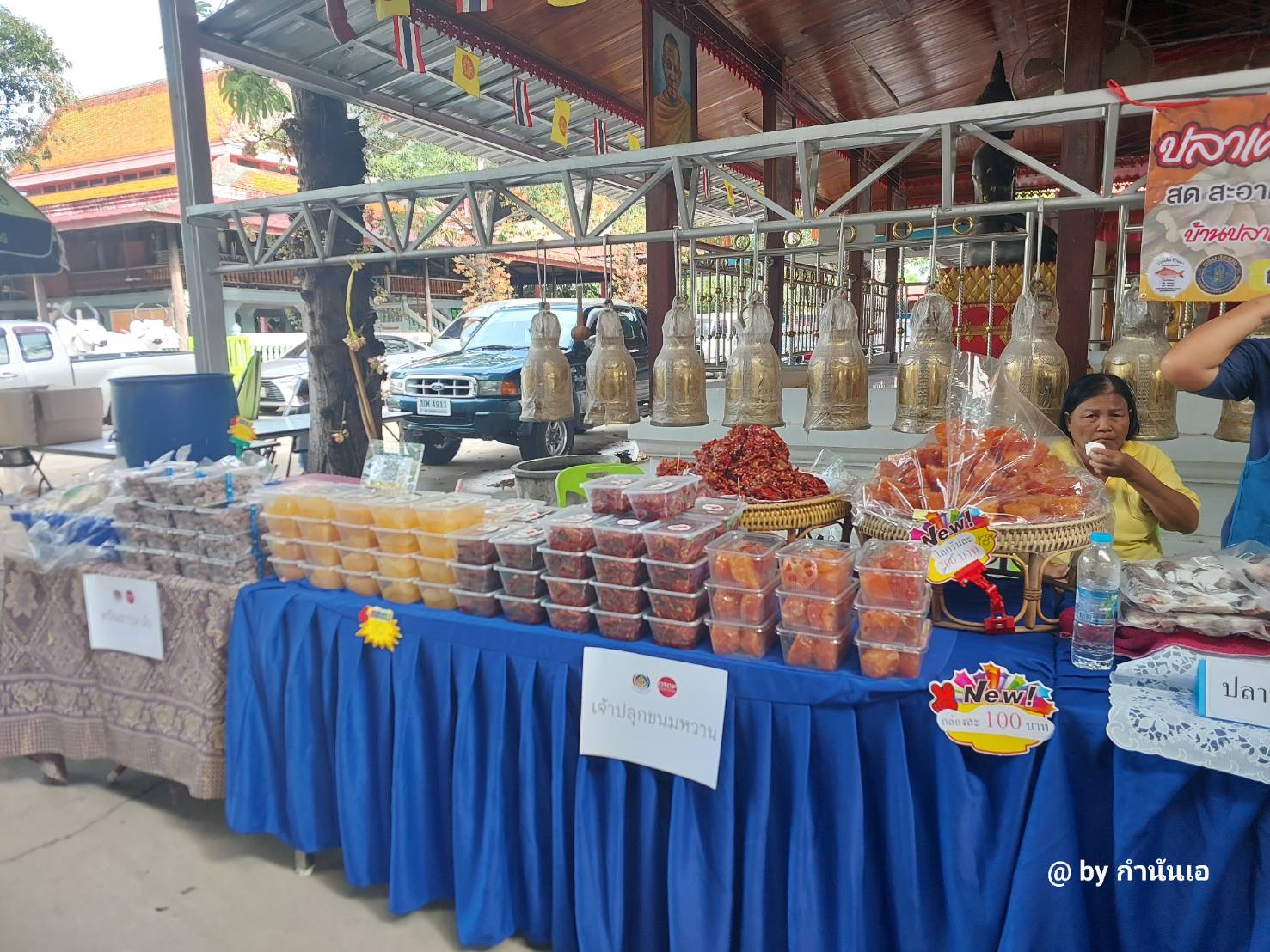 พัฒนาชุมชน ร่วมกับ จังหวัดพระนครศรีอยุธยา และ พมจ. บูรณาการหน่วยงานรัฐ ออกหน่วยเคลื่อนที่ ช่วยเหลือ เยี่ยมเยียนพี่น้องประชาชน “คนอยุธยา..ไม่ทิ้งใครไว้ข้างหลัง” พร้อมเกื้อหนุนโครงการวัดประชารัฐสร้างสุขอย่างยั่งยืน ในพื้นที่อำเภอมหาราช