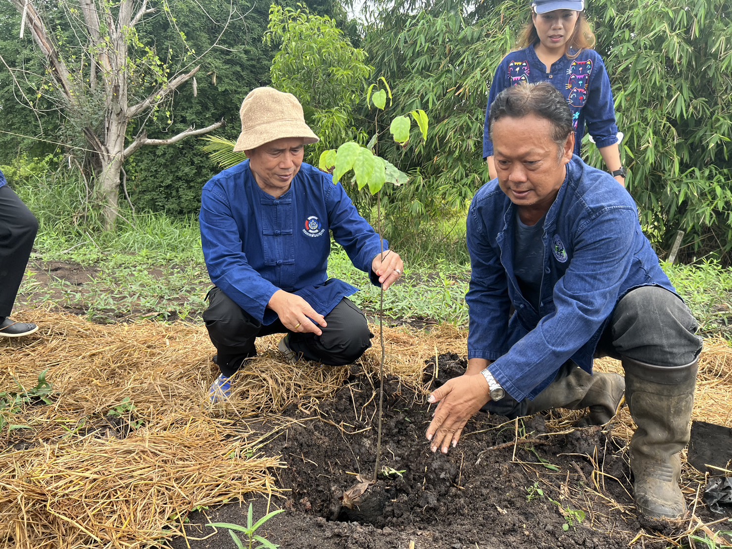 💎 พช.พระนครศรีอยุธยา  จับมือเครือข่าย โคก หนอง นา ร่วมกิจกรรม”โคก หนอง นา พาทัวร์”