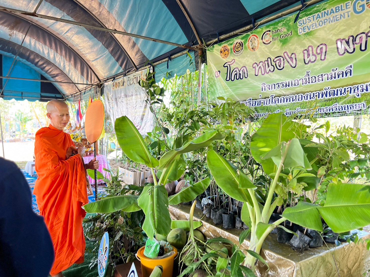 อยุธยา “ทอดผ้าป่าต้นไม้” เนื่องในวันดินโลก