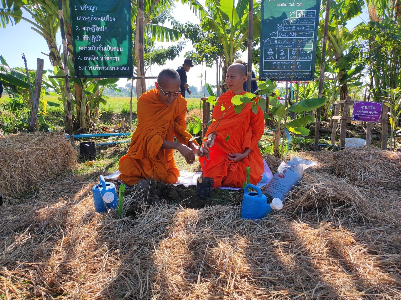 อยุธยา “ทอดผ้าป่าต้นไม้” เนื่องในวันดินโลก