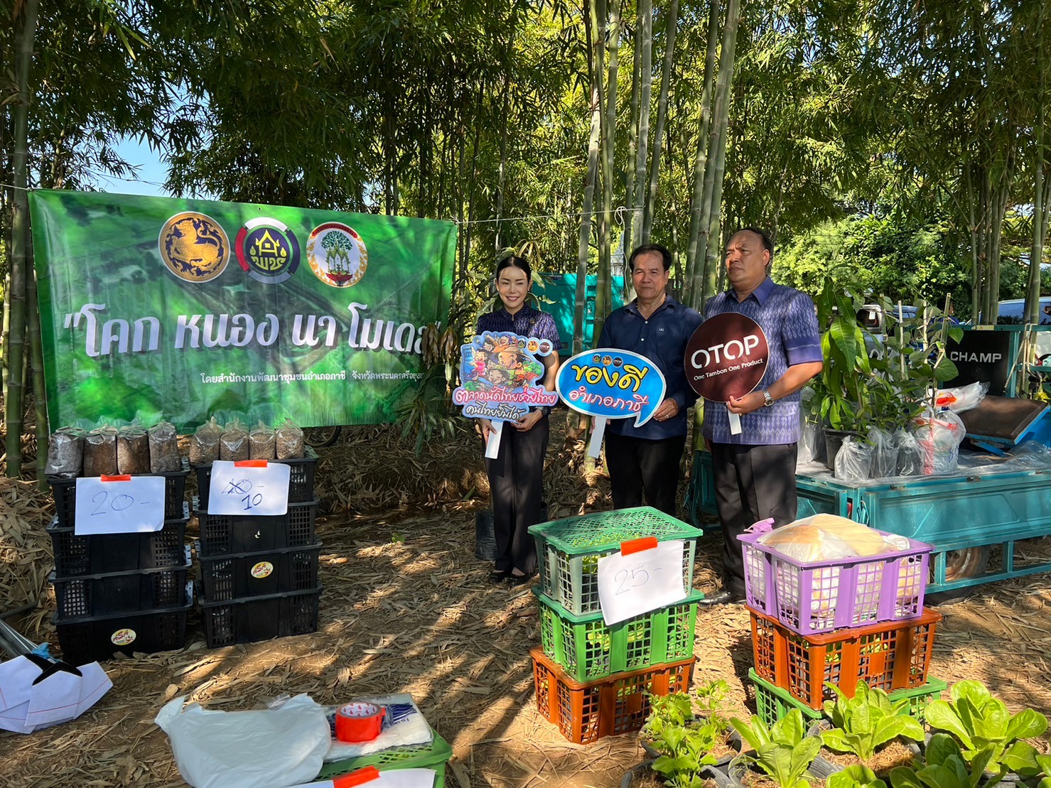 อยุธยา “ทอดผ้าป่าต้นไม้” เนื่องในวันดินโลก