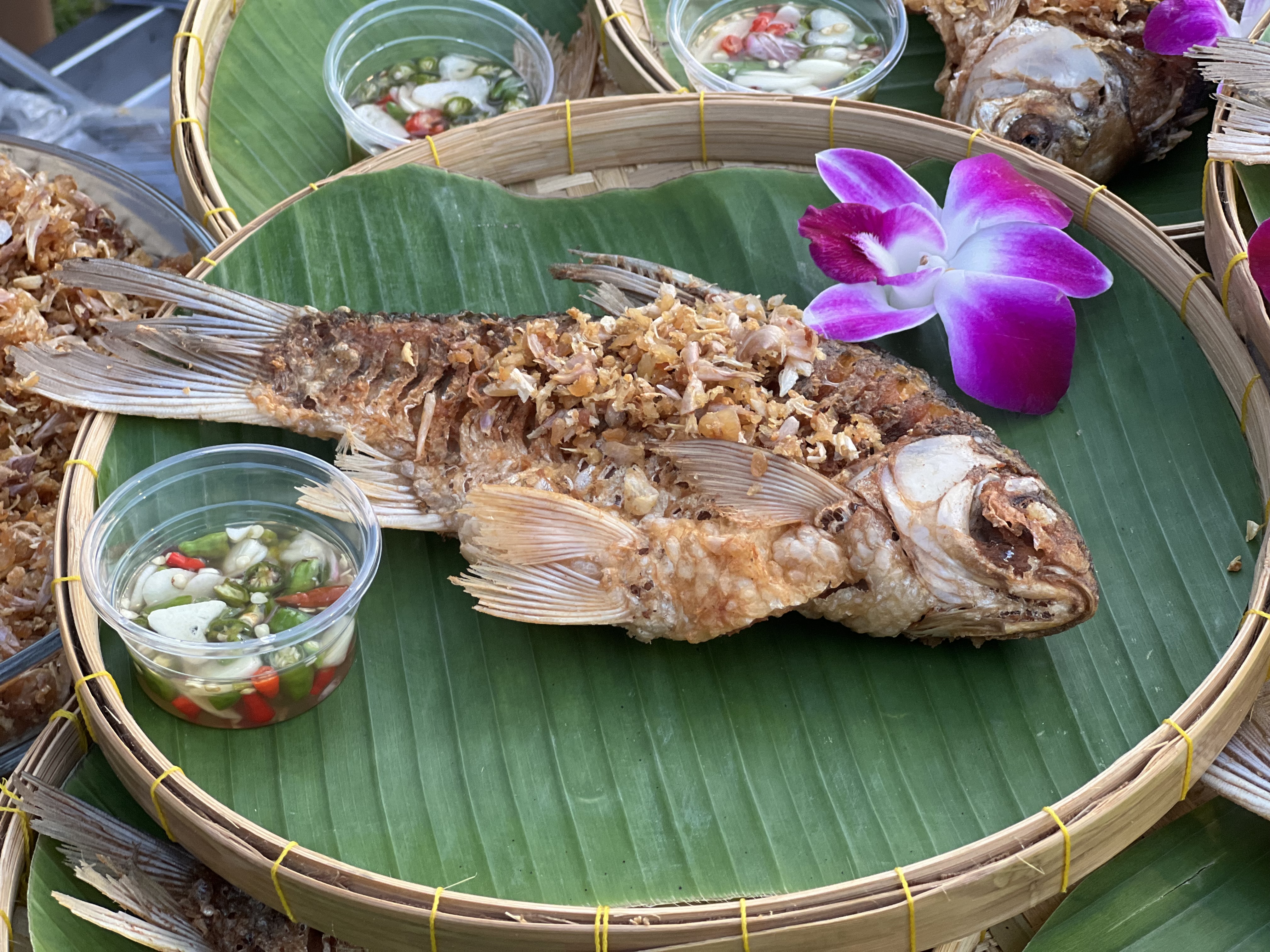 พัฒนาชุมชนจังหวัดพระนครศรีอยุธยา ร่วมงานแถลงข่าว “ยอยศยิ่งฟ้า อยุธยามรดกโลก ประจำปี พ.ศ. 2566”