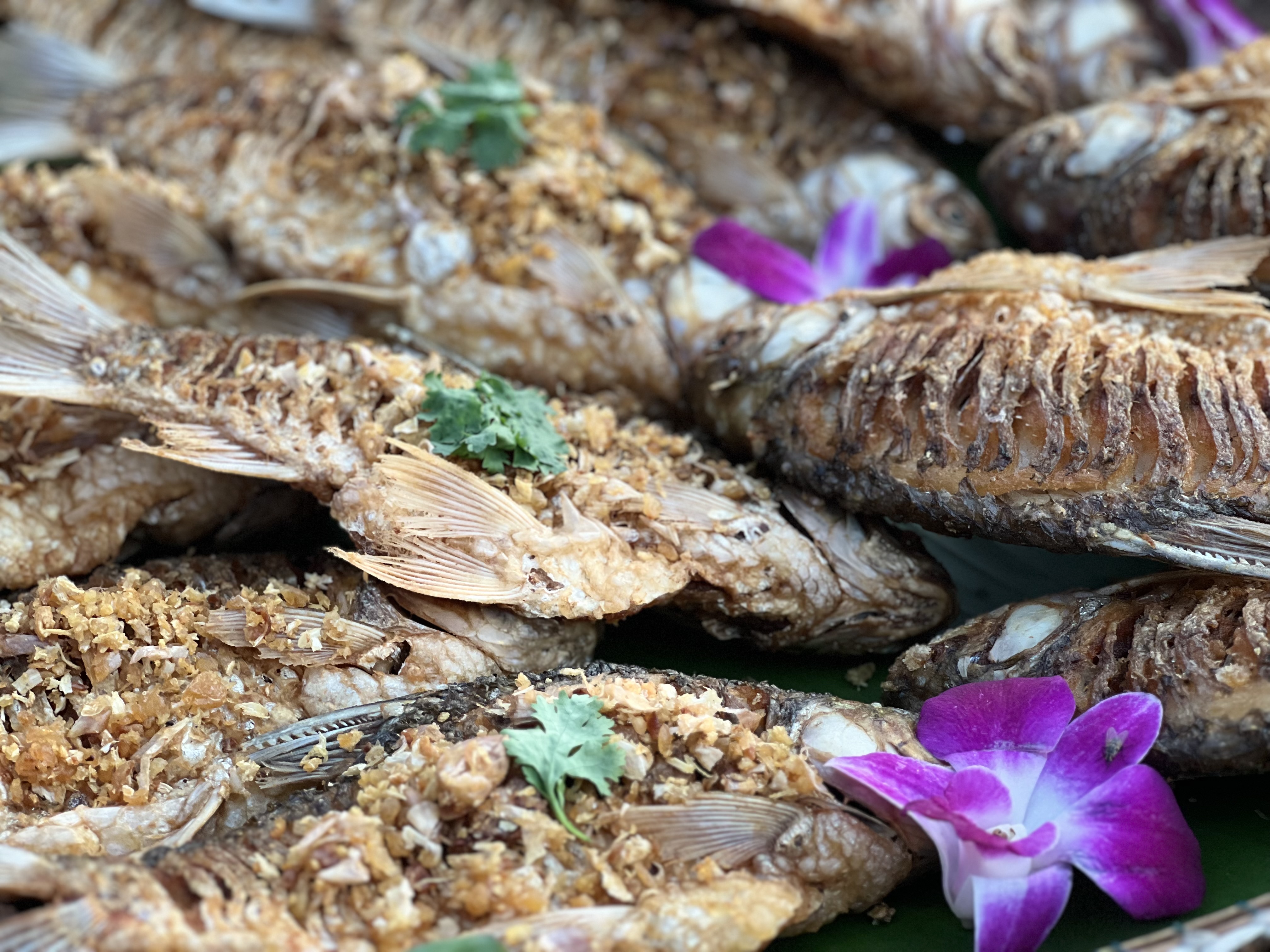 พัฒนาชุมชนจังหวัดพระนครศรีอยุธยา ร่วมงานแถลงข่าว “ยอยศยิ่งฟ้า อยุธยามรดกโลก ประจำปี พ.ศ. 2566”