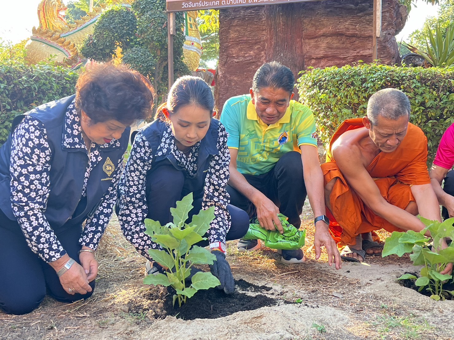 พช.กรุงเก่า สานพลังความต่อเนื่องปฏิบัติการตามแนวพระราชดำริฯ ปลูกผักสวนครัวเพื่อสร้างความมั่นคงทางอาหาร สู่ชุมชนเข้มแข็ง เป็นมิตรกับสิ่งแวดล้อม