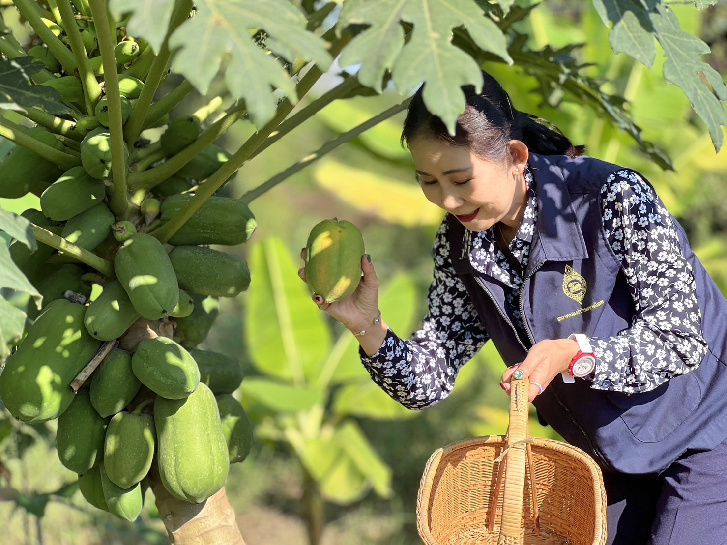 พช.กรุงเก่า สานพลังความต่อเนื่องปฏิบัติการตามแนวพระราชดำริฯ ปลูกผักสวนครัวเพื่อสร้างความมั่นคงทางอาหาร สู่ชุมชนเข้มแข็ง เป็นมิตรกับสิ่งแวดล้อม
