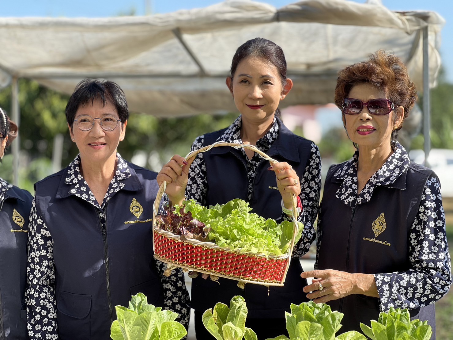 พช.กรุงเก่า สานพลังความต่อเนื่องปฏิบัติการตามแนวพระราชดำริฯ ปลูกผักสวนครัวเพื่อสร้างความมั่นคงทางอาหาร สู่ชุมชนเข้มแข็ง เป็นมิตรกับสิ่งแวดล้อม