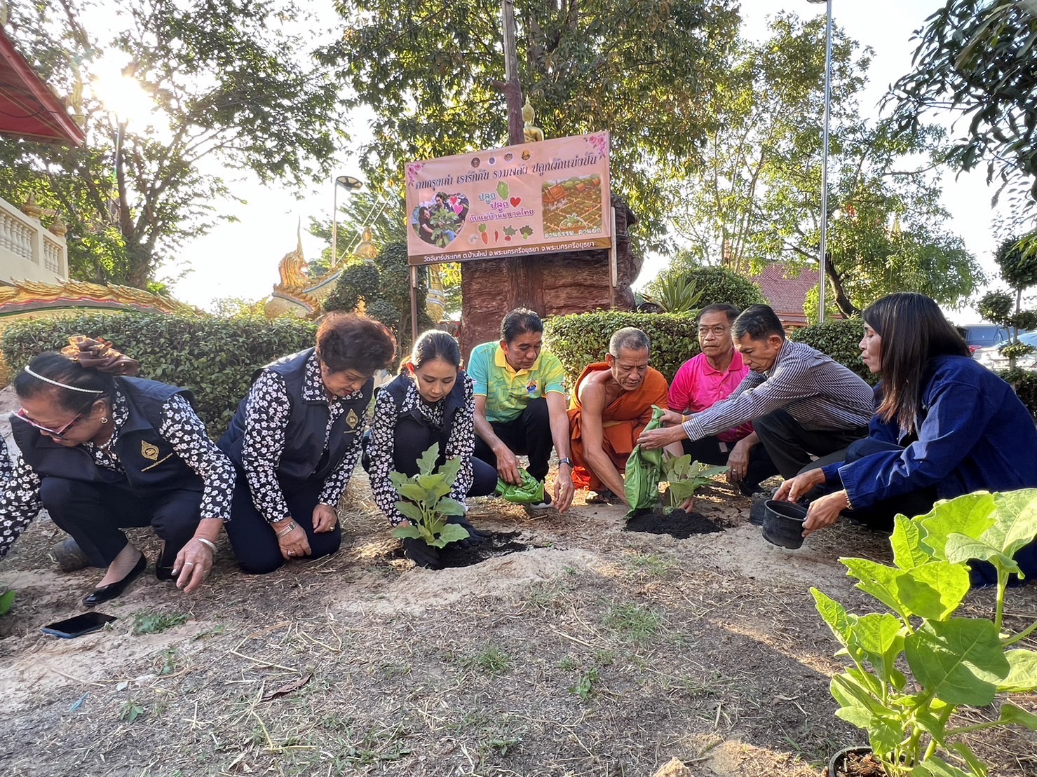 พช.กรุงเก่า สานพลังความต่อเนื่องปฏิบัติการตามแนวพระราชดำริฯ ปลูกผักสวนครัวเพื่อสร้างความมั่นคงทางอาหาร สู่ชุมชนเข้มแข็ง เป็นมิตรกับสิ่งแวดล้อม