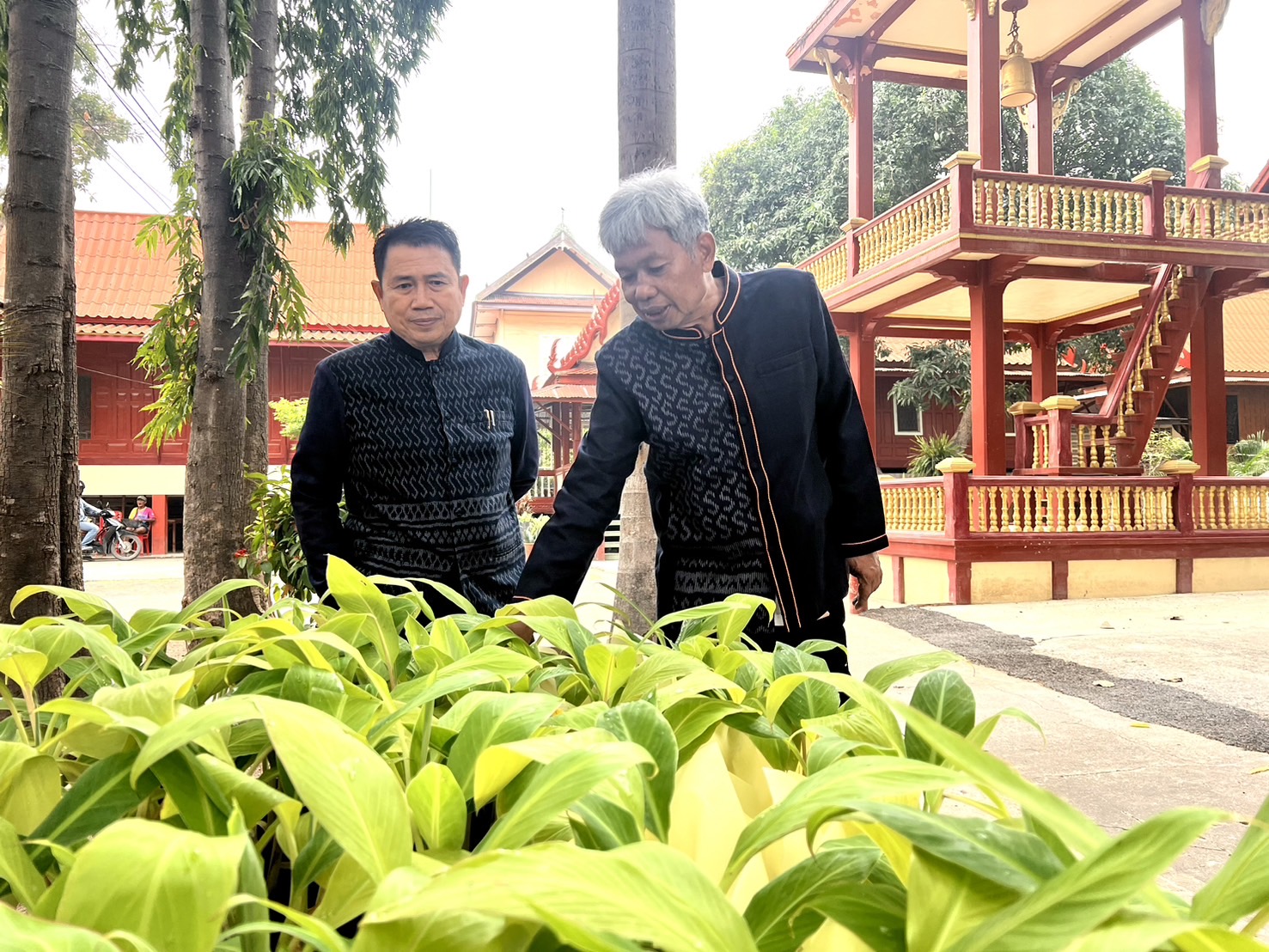 🔹สพจ.พระนครศรีอยุธยา สานพลังอาสาพัฒนาชุมชน จัดกิจกรรมครบรอบ 55 ปี อาสาพัฒนาชุมชน