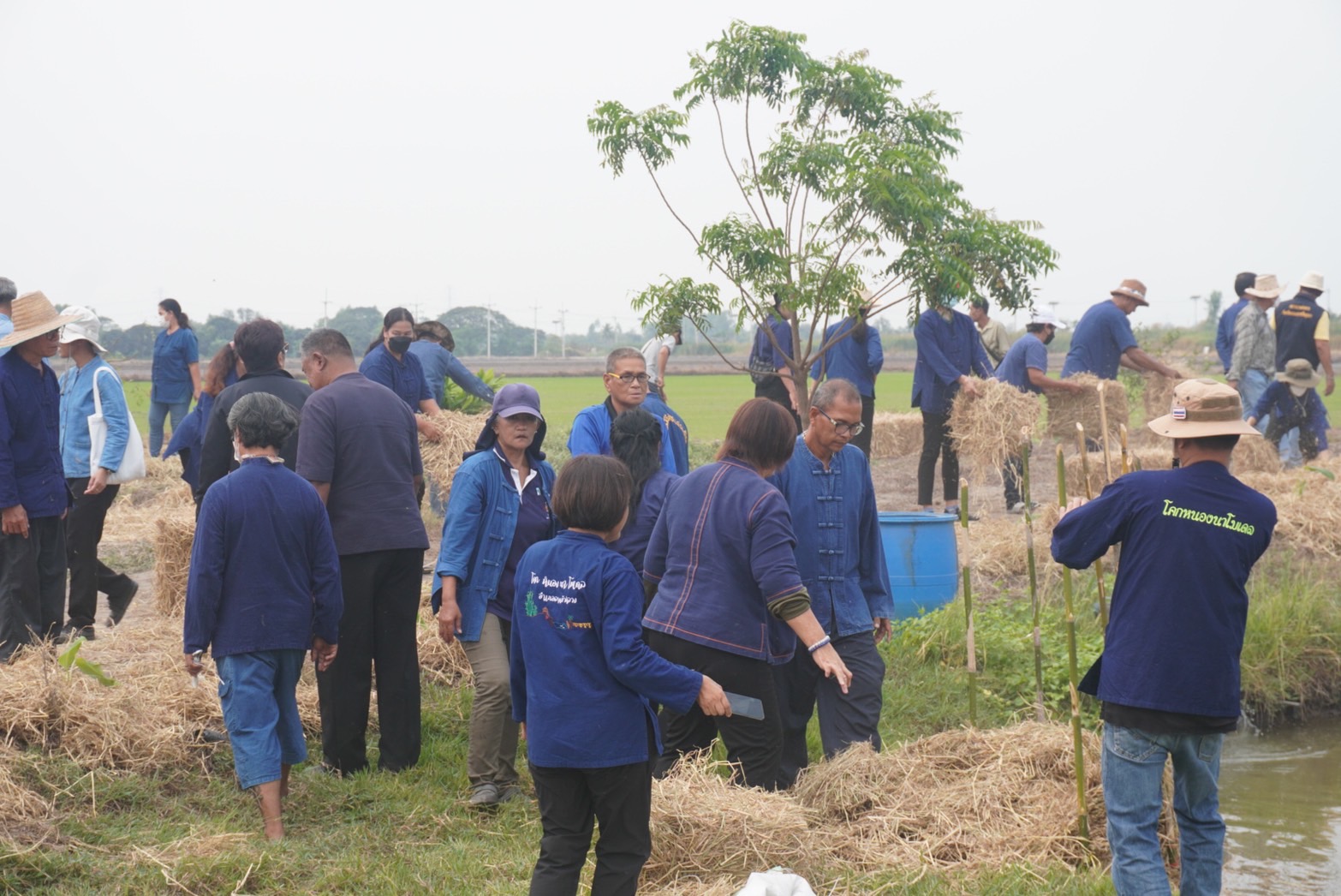 พช.อยุธยา จับมือเครือข่ายโคก หนอง นา จังหวัดพระนครศรีอยุธยา เดินหน้ากิจกรรมหิ้วปิ่นโตเอามื้อสามัคคี
