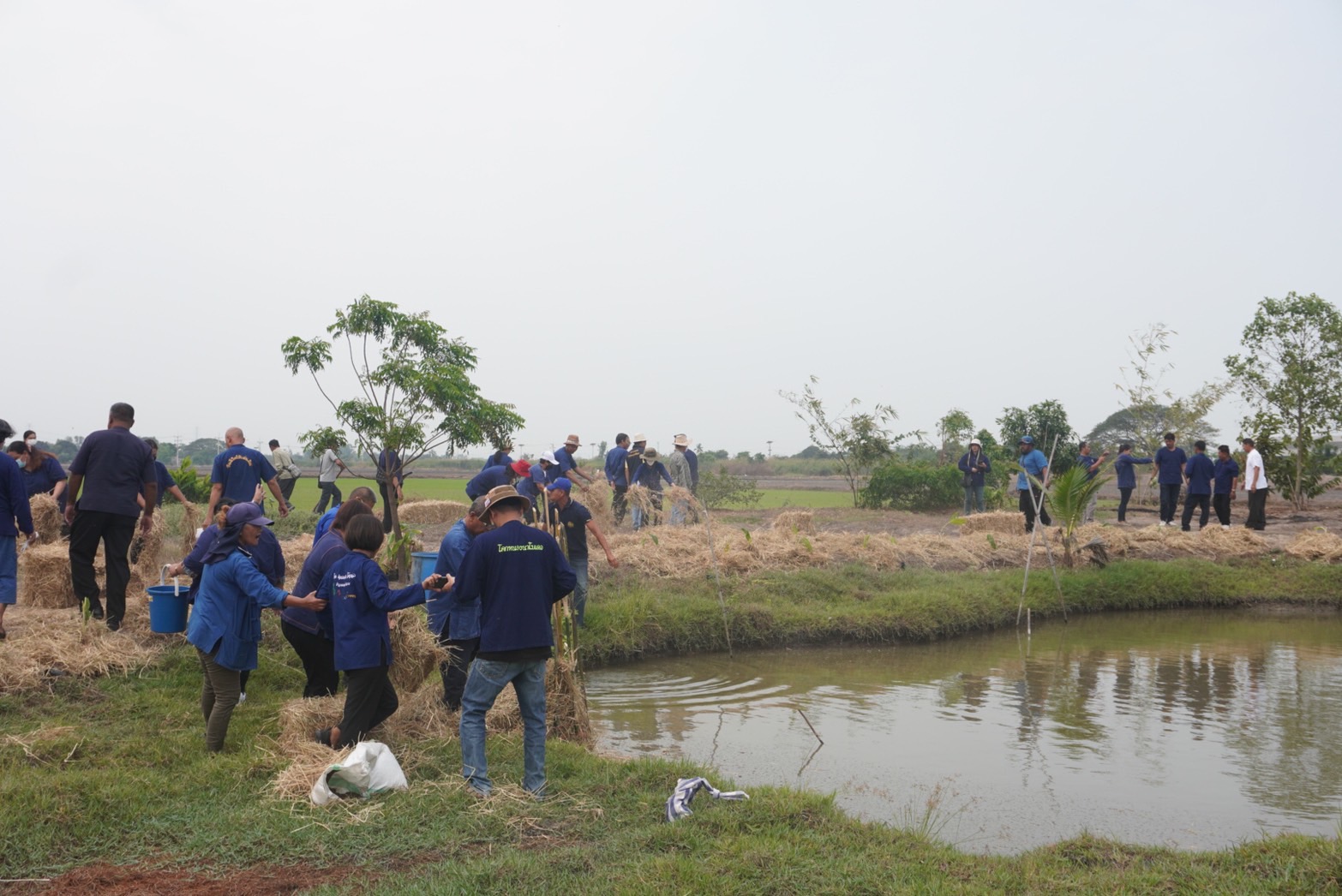 พช.อยุธยา จับมือเครือข่ายโคก หนอง นา จังหวัดพระนครศรีอยุธยา เดินหน้ากิจกรรมหิ้วปิ่นโตเอามื้อสามัคคี