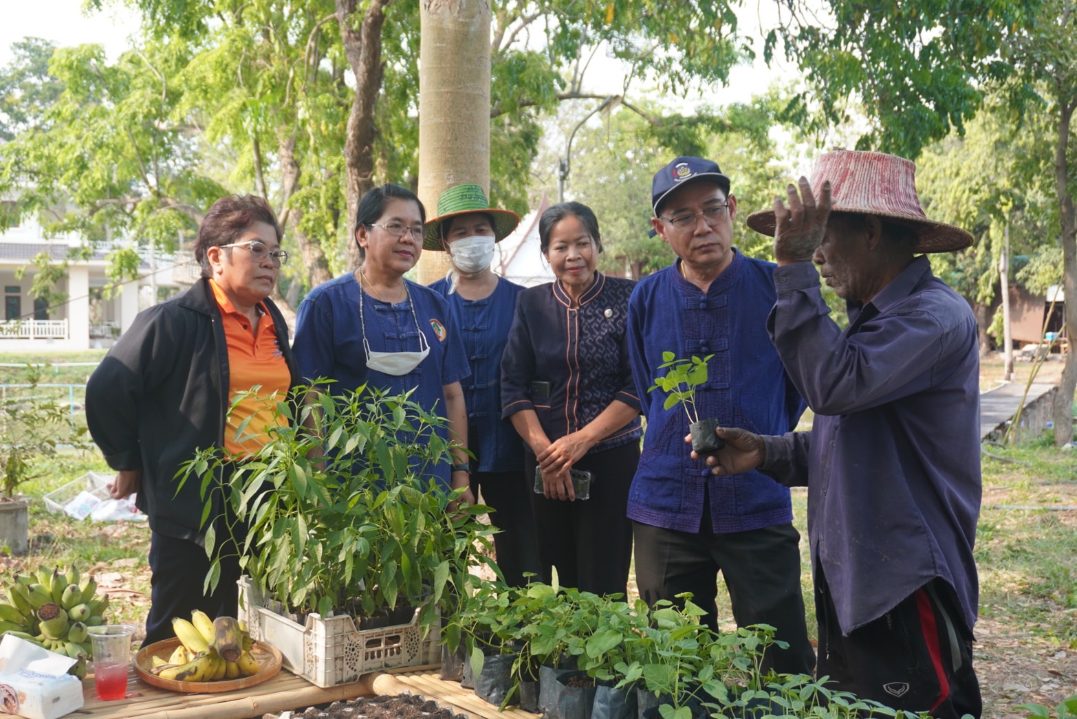 พช.กรุงเก่า ขับเคลื่อนงานสร้างความมั่นคงทางอาหาร “ปลูกผัก ปลูกรัก กับพช.อยุธยา”
