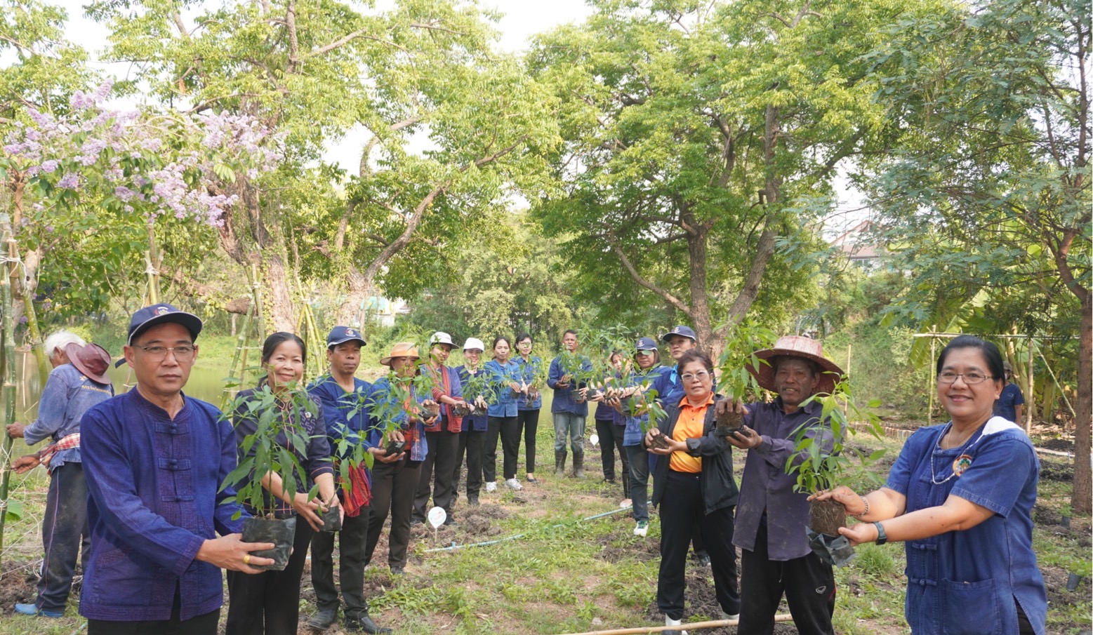พช.กรุงเก่า ขับเคลื่อนงานสร้างความมั่นคงทางอาหาร “ปลูกผัก ปลูกรัก กับพช.อยุธยา”