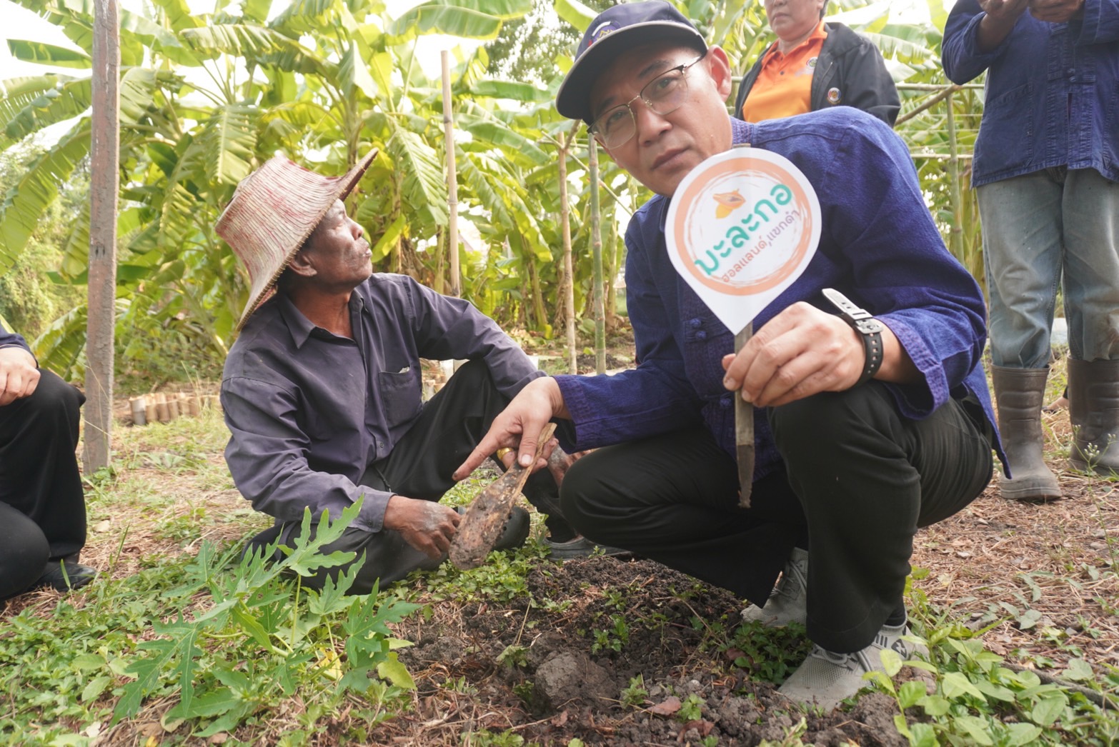 พช.กรุงเก่า ขับเคลื่อนงานสร้างความมั่นคงทางอาหาร “ปลูกผัก ปลูกรัก กับพช.อยุธยา”