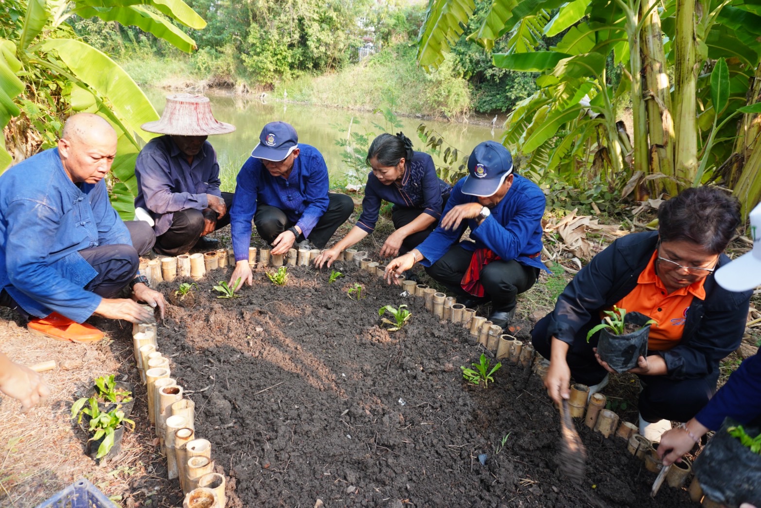 พช.กรุงเก่า ขับเคลื่อนงานสร้างความมั่นคงทางอาหาร “ปลูกผัก ปลูกรัก กับพช.อยุธยา”