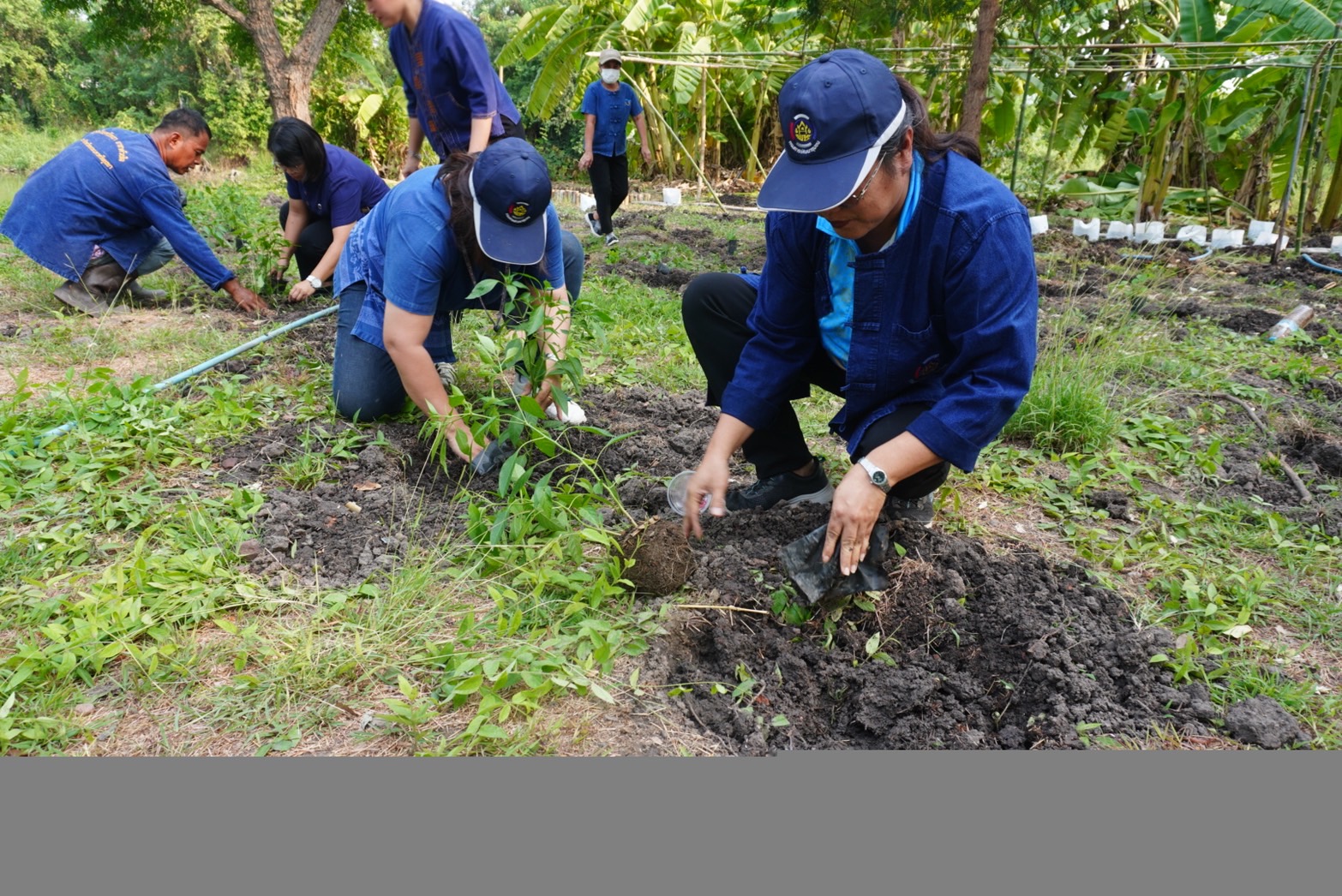 พช.กรุงเก่า ขับเคลื่อนงานสร้างความมั่นคงทางอาหาร “ปลูกผัก ปลูกรัก กับพช.อยุธยา”