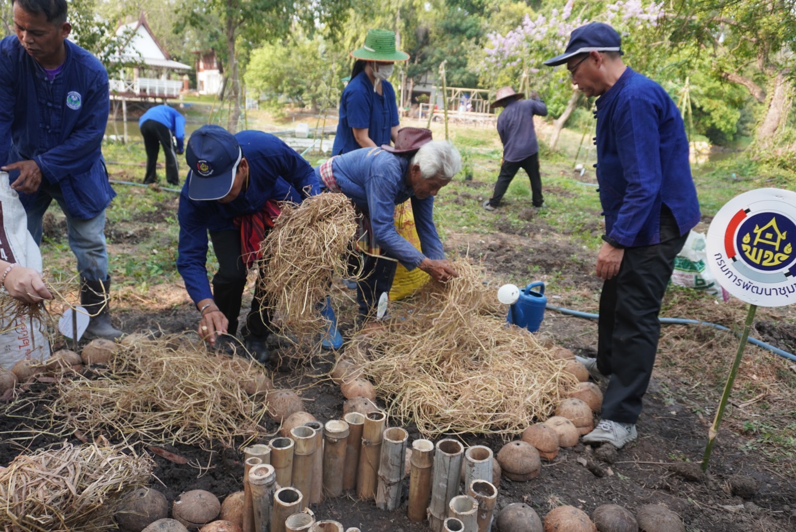 พช.กรุงเก่า ขับเคลื่อนงานสร้างความมั่นคงทางอาหาร “ปลูกผัก ปลูกรัก กับพช.อยุธยา”