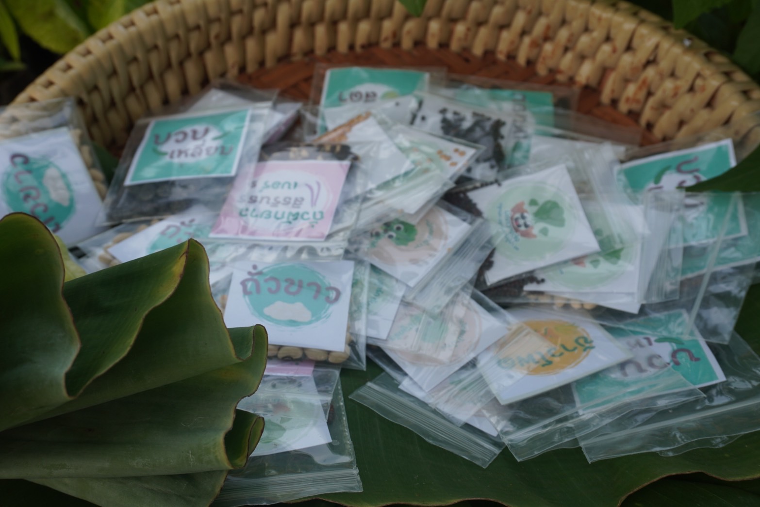 พช.กรุงเก่า ขับเคลื่อนงานสร้างความมั่นคงทางอาหาร “ปลูกผัก ปลูกรัก กับพช.อยุธยา”