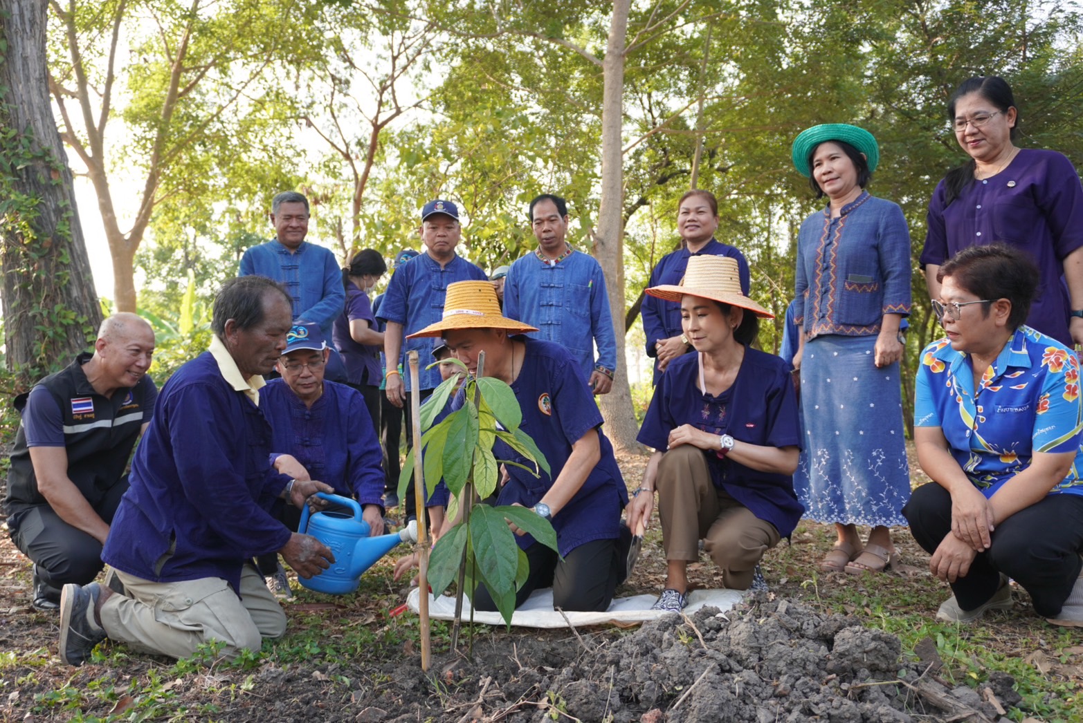 จังหวัดพระนครศรีอยุธยา ขับเคลื่อนงานสร้างความมั่นคงทางอาหาร “ปลูกผัก ปลูกรัก กับพช.อยุธยา”