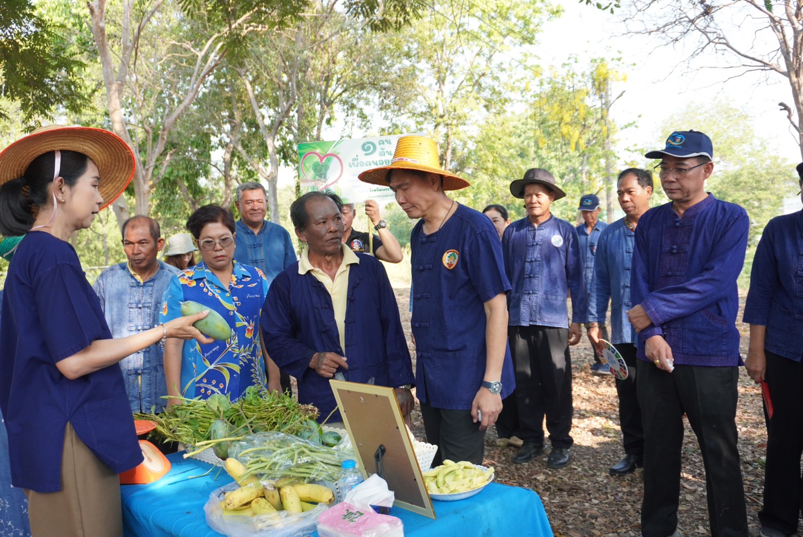 จังหวัดพระนครศรีอยุธยา ขับเคลื่อนงานสร้างความมั่นคงทางอาหาร “ปลูกผัก ปลูกรัก กับพช.อยุธยา”